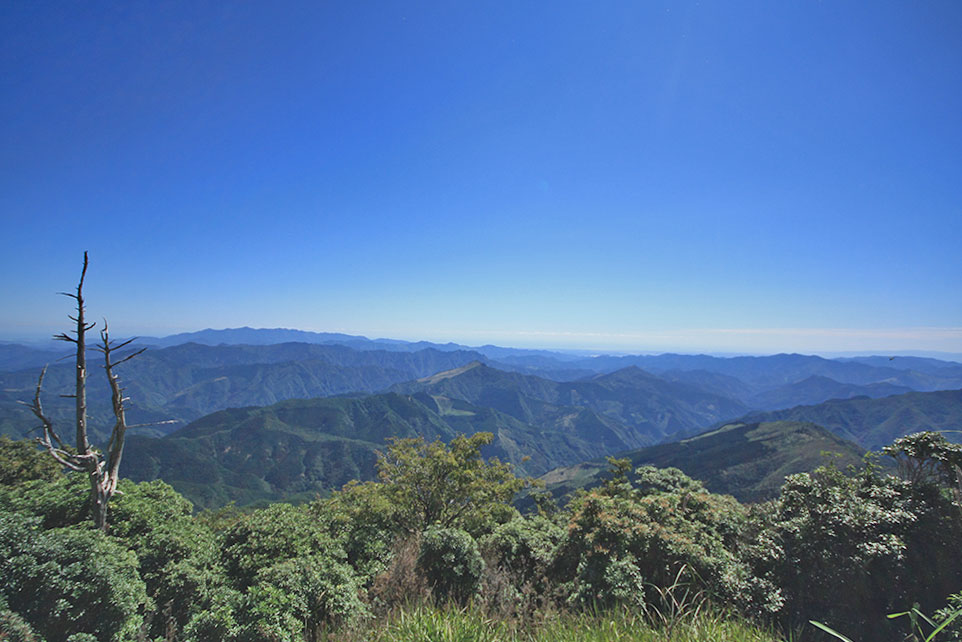 写真では分かりづらいですが遮るものがない展望