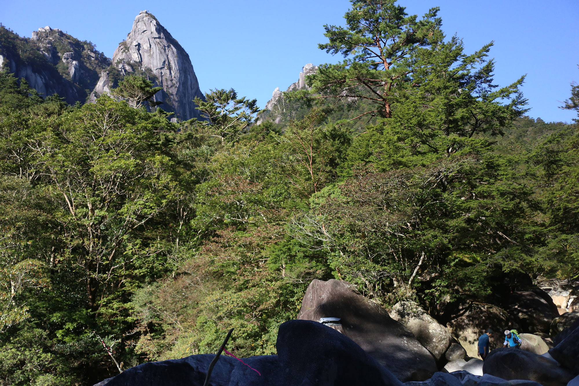 祝子川から見上げる大崩山の岩峰
