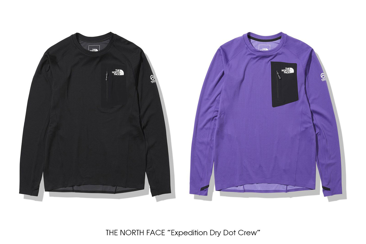 値打ちTHE NORTH FACE エクスペディションドライドットクルー　L グレー トップス