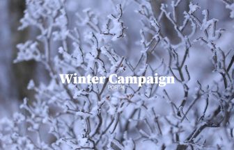 Winter Campaign