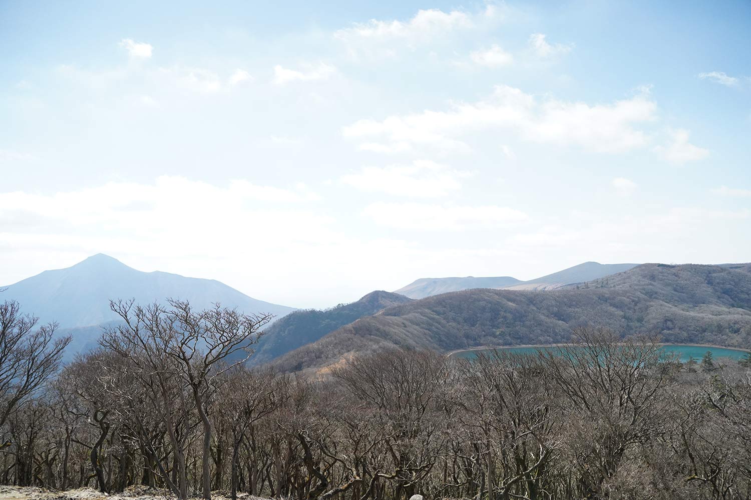 丸岡山山頂付近からの風景
