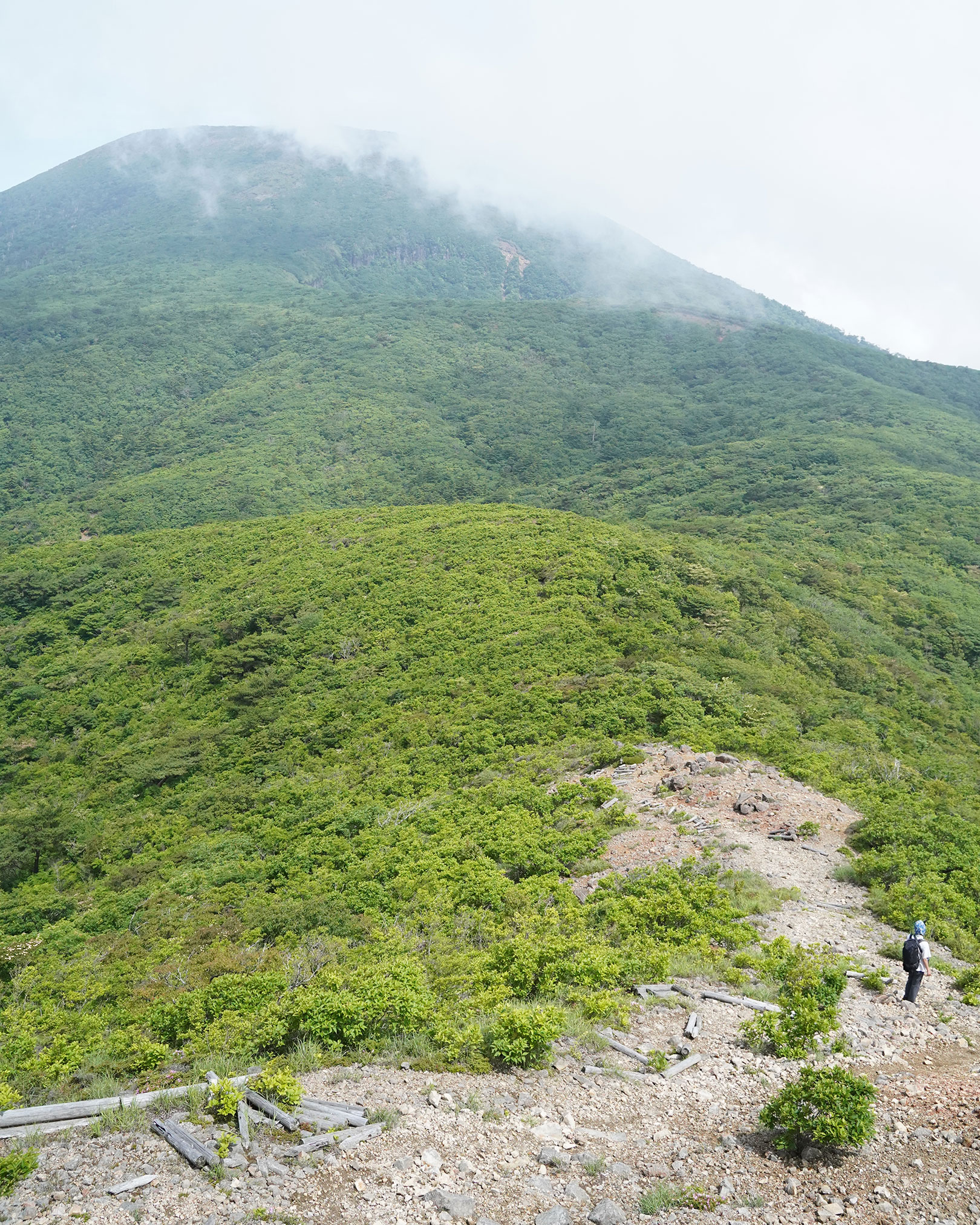 獅子戸岳手前から韓国岳を眺める