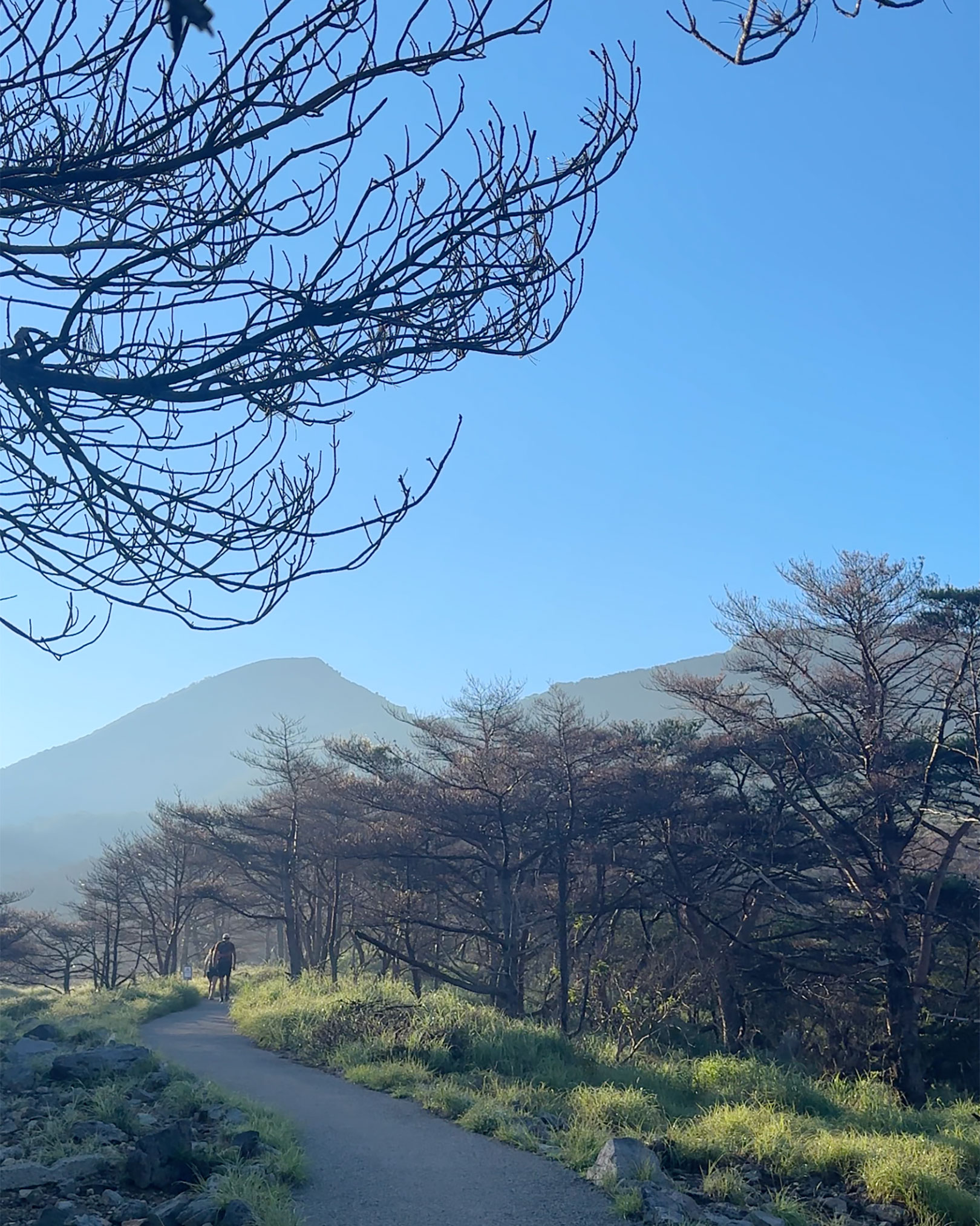 登山口付近にて