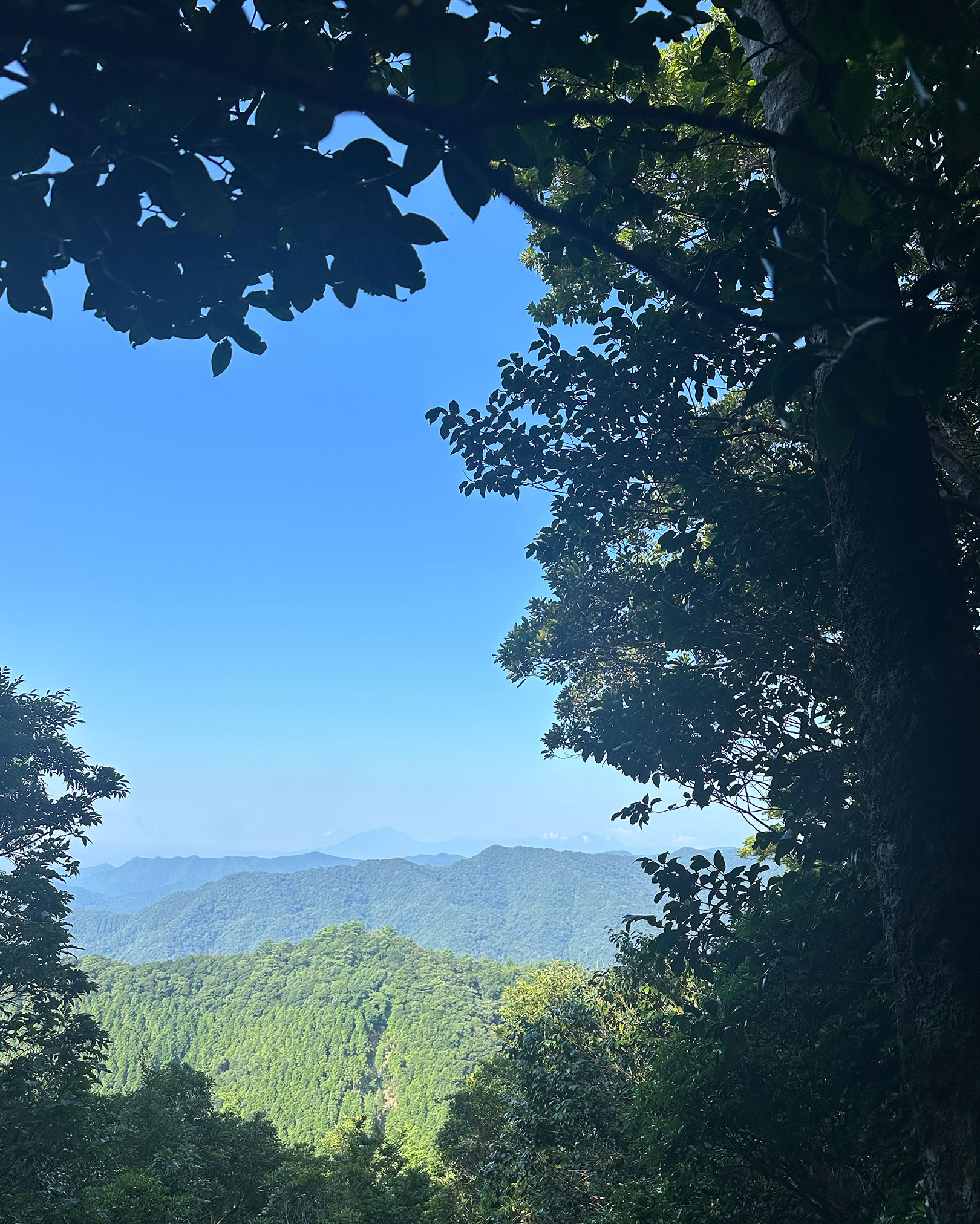 途中で眺める霧島山系