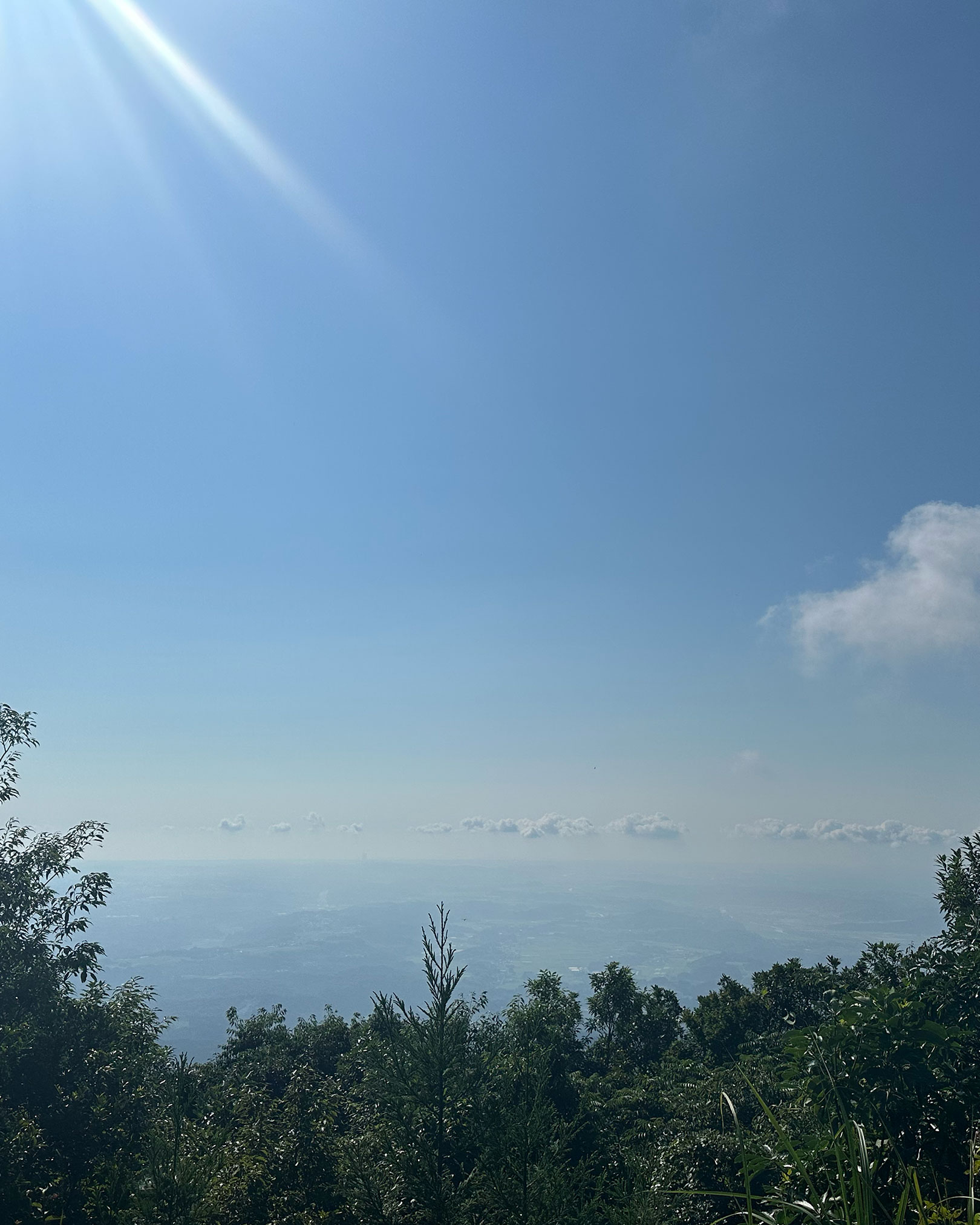 山頂にて