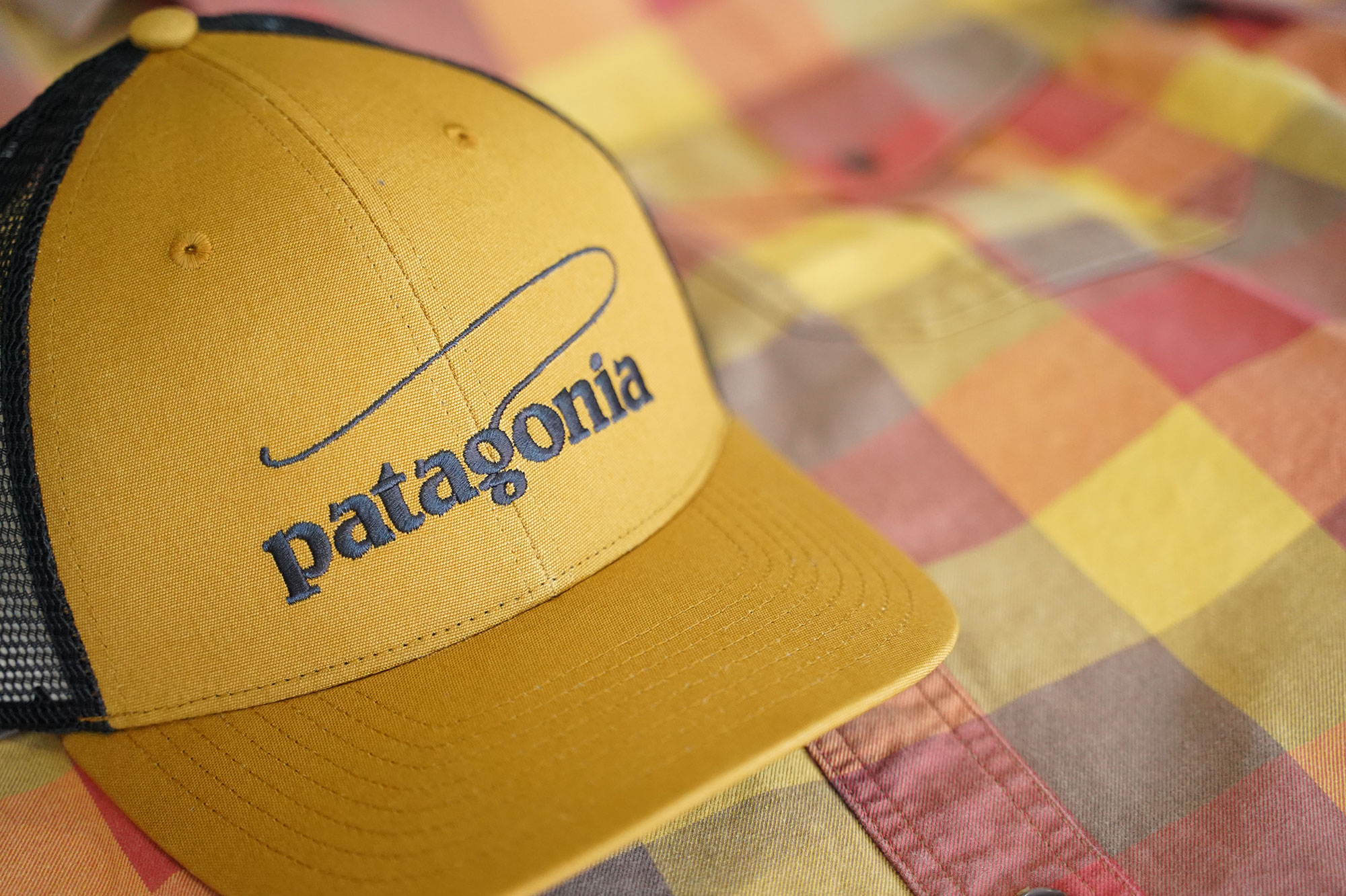 patagonia "Take A Stand Trucker Hat"