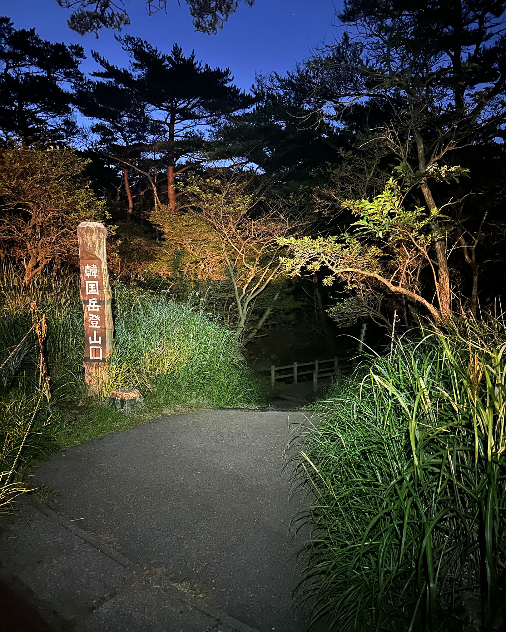 韓国岳登山口