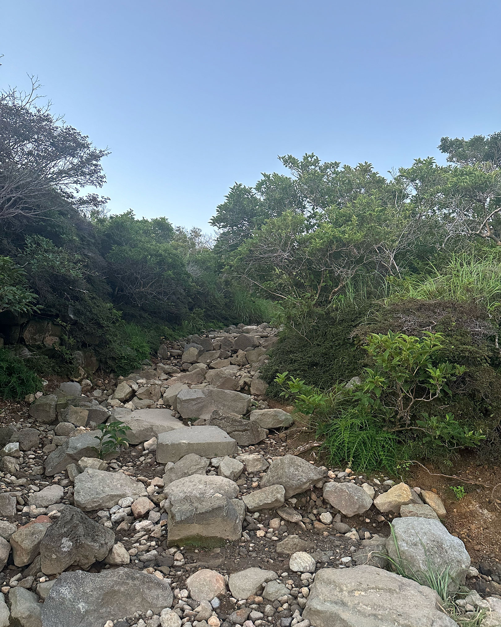 登山道