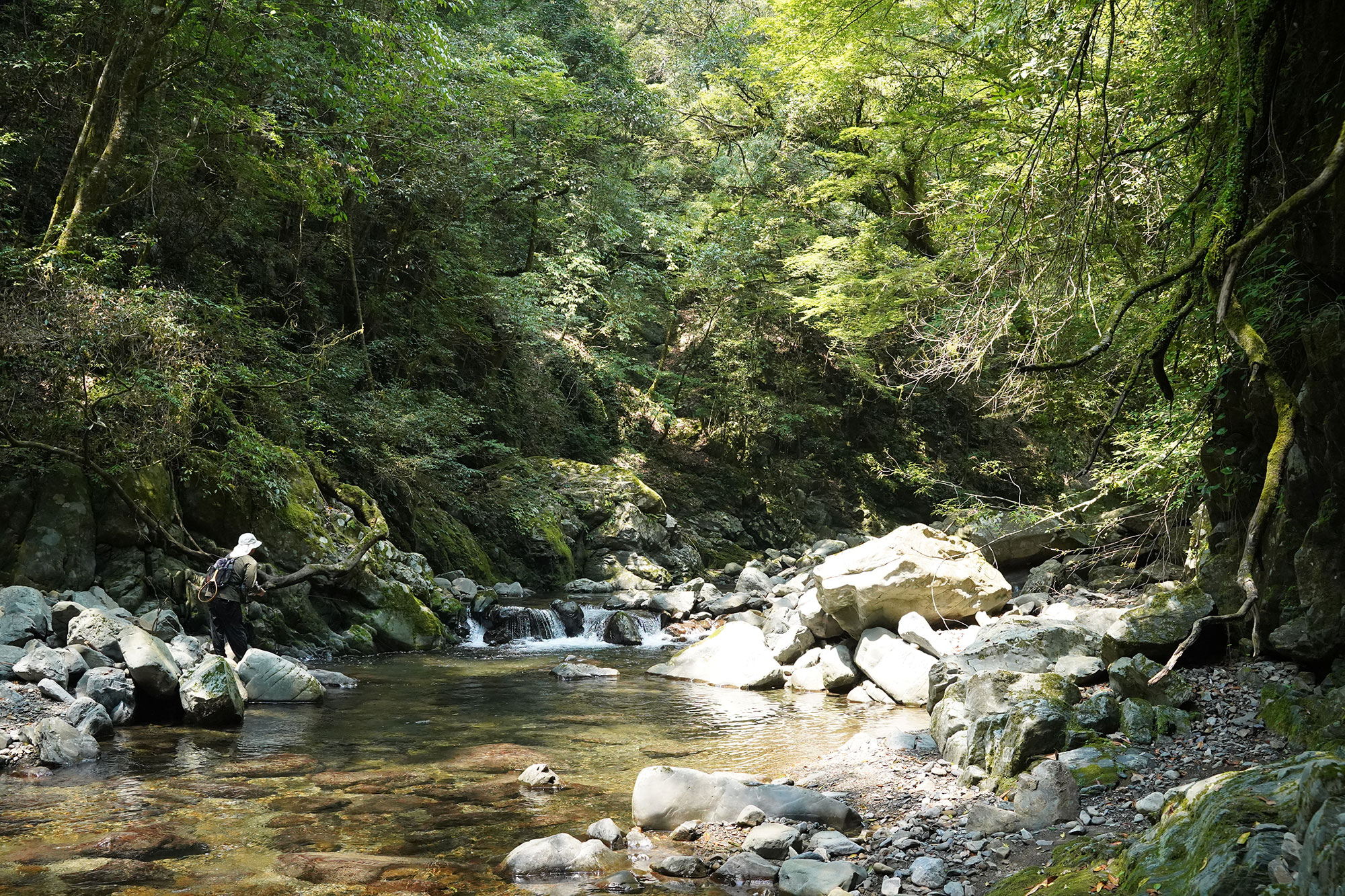 宮崎の渓谷