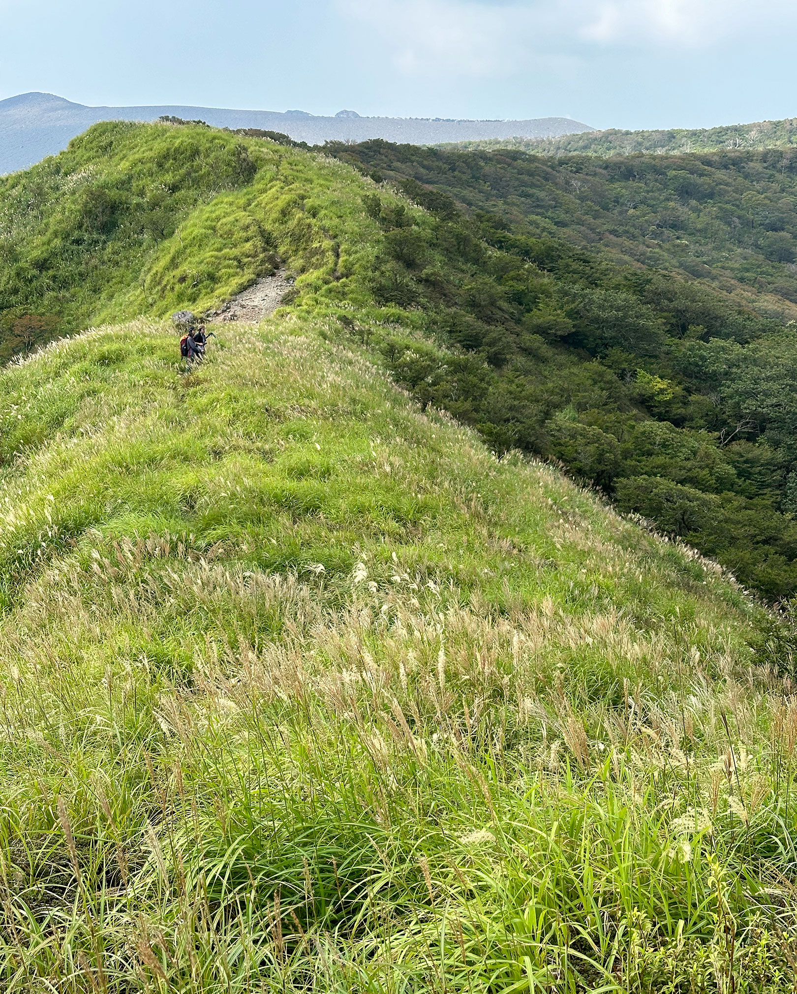 大幡山を過ぎて快適な稜線にて