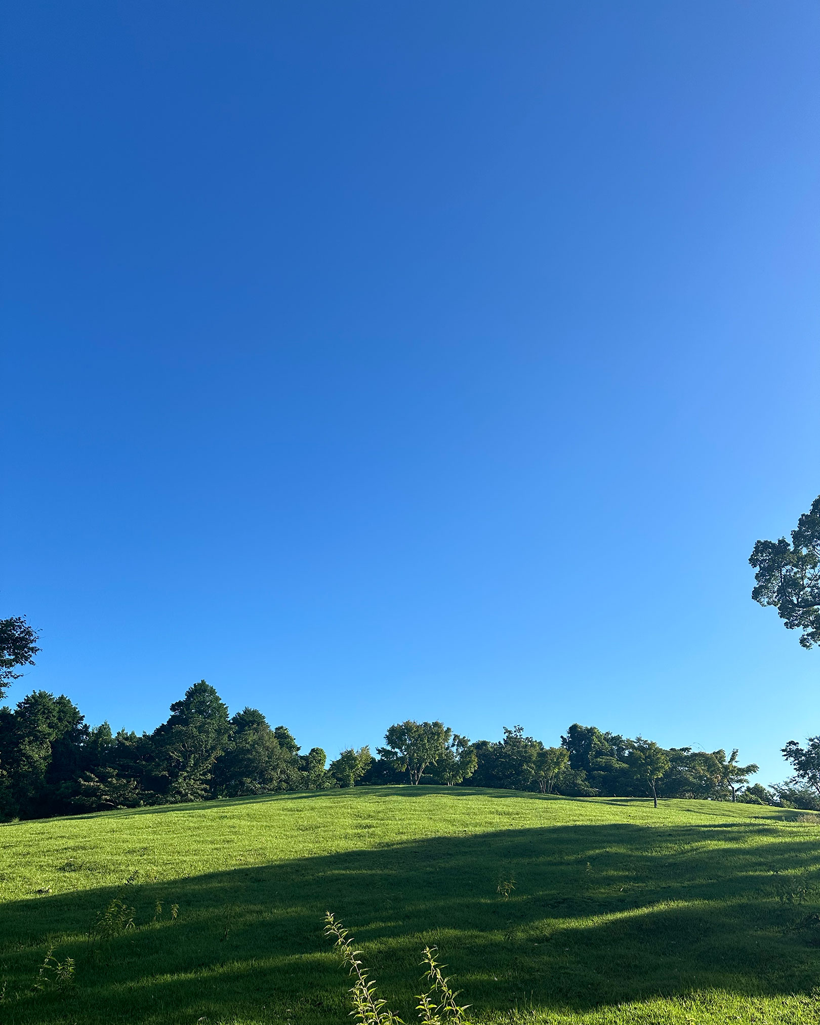 青空