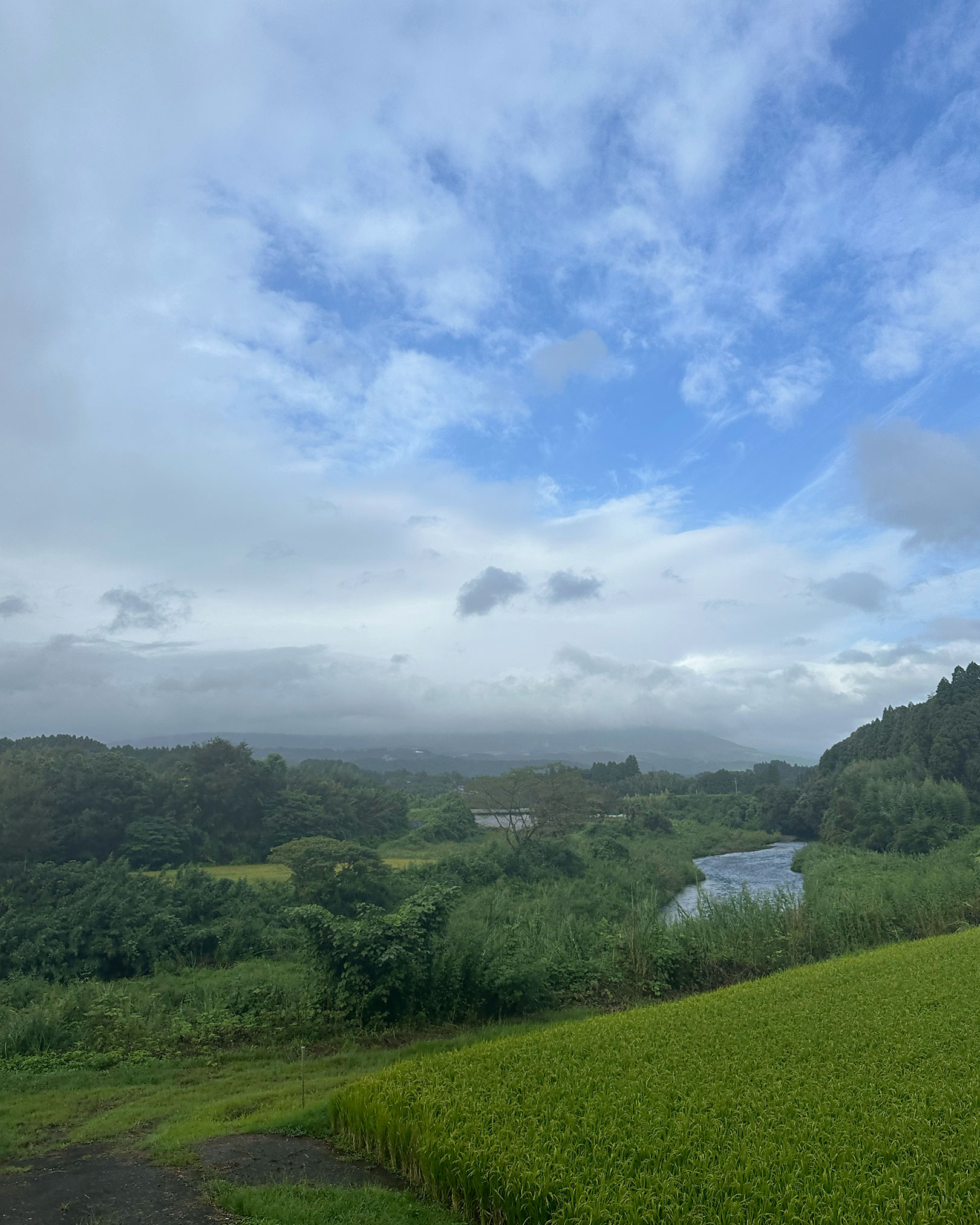 霧島山と田畑の風景