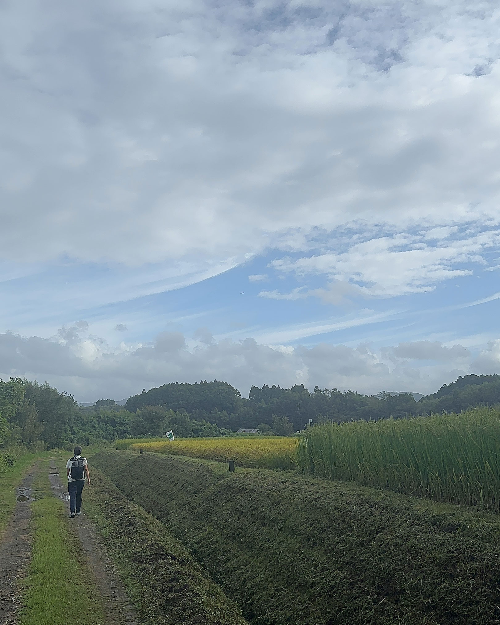 田んぼ沿いを歩く道