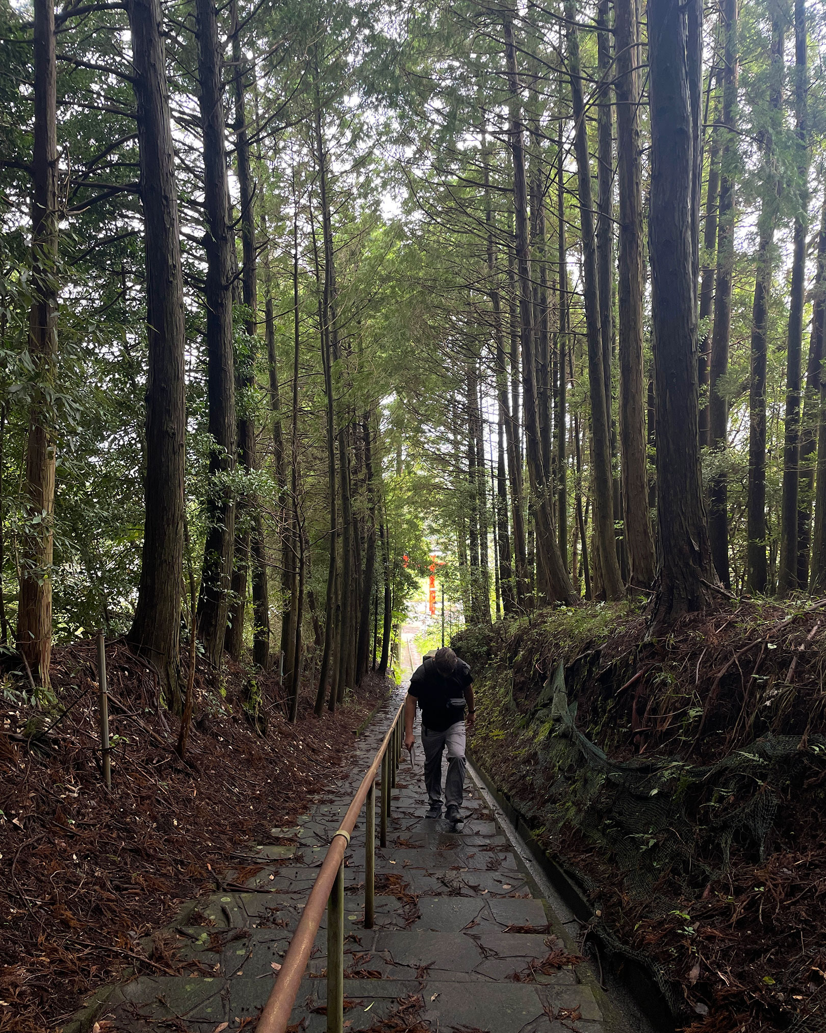 霞神社への石段