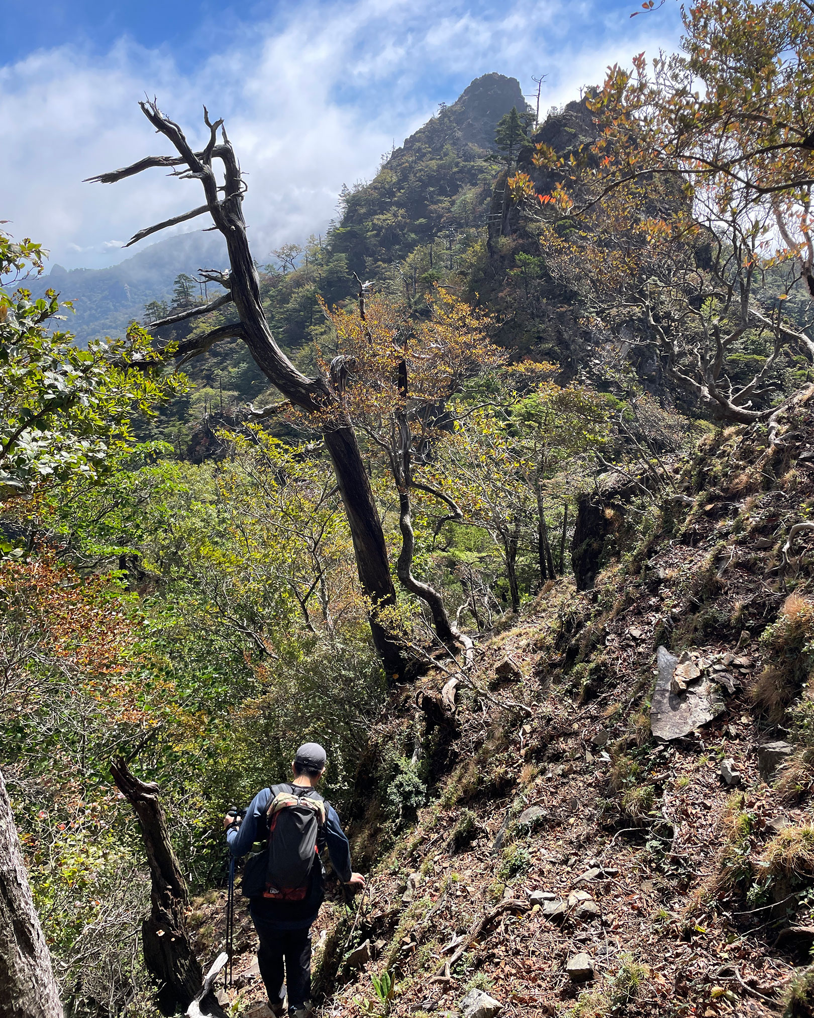 もうすぐ鹿納山