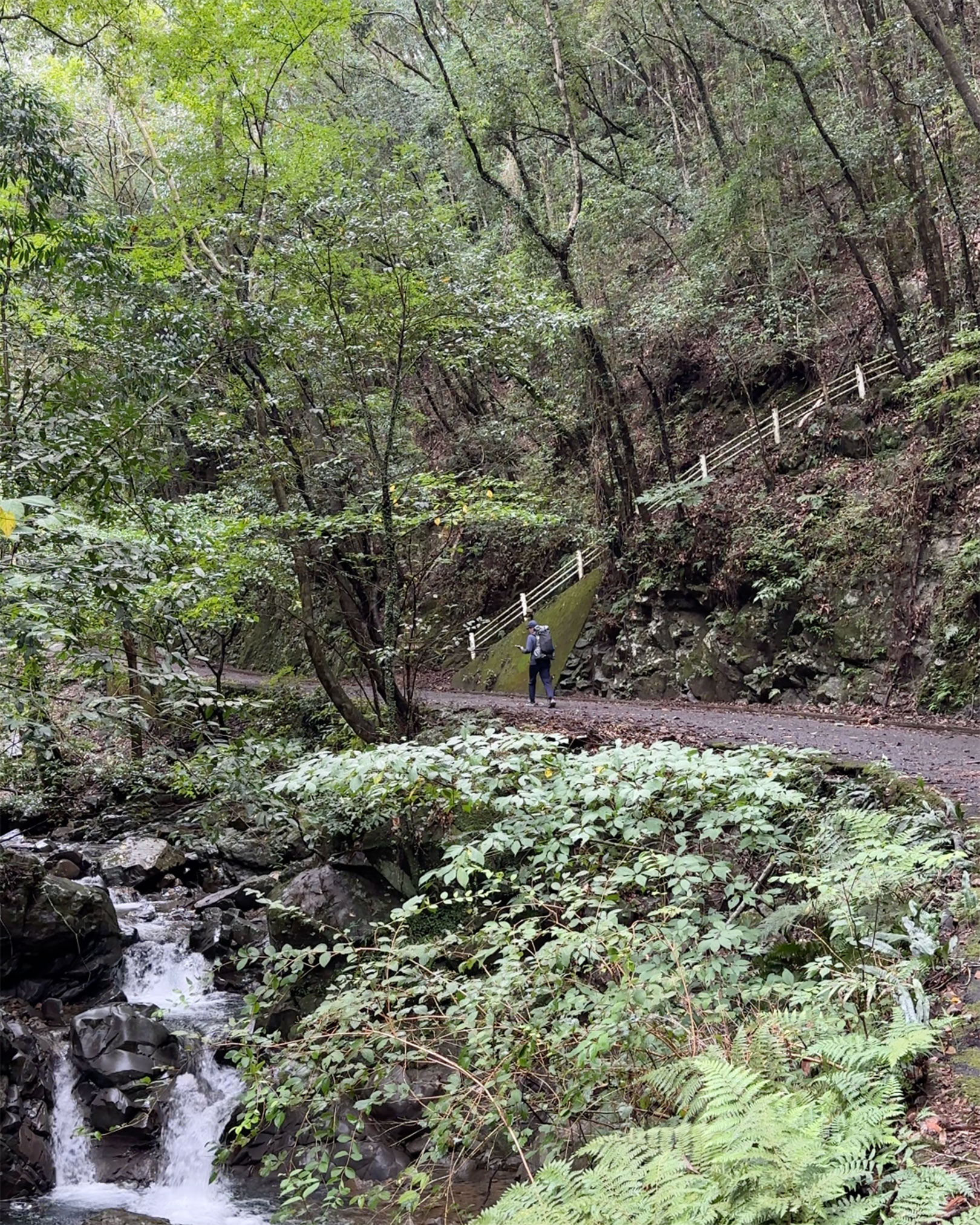 広沢ダム付近から峠に入るところ