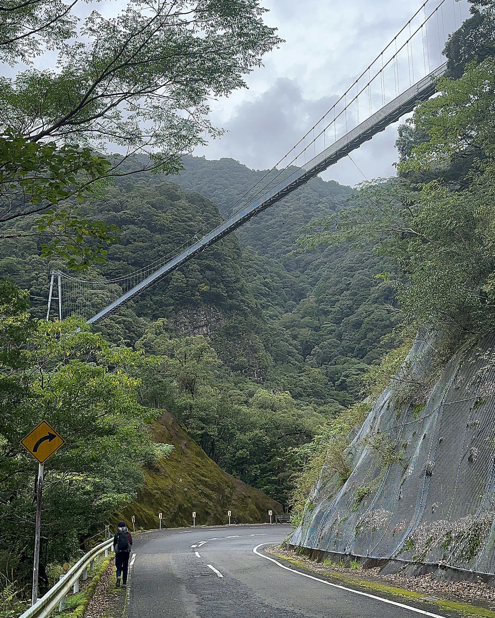 照葉大吊橋の下を歩く