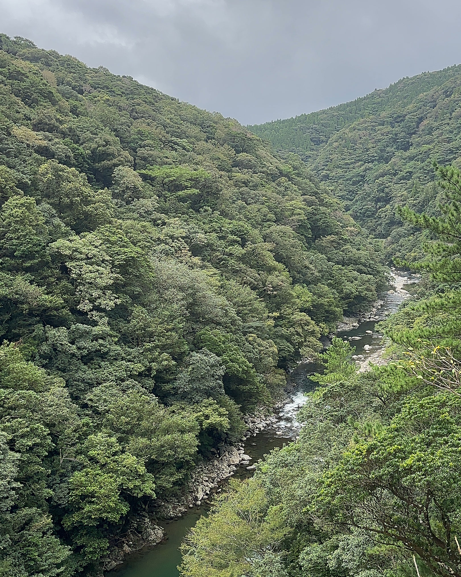 照葉樹の森の中を流れる綾南川