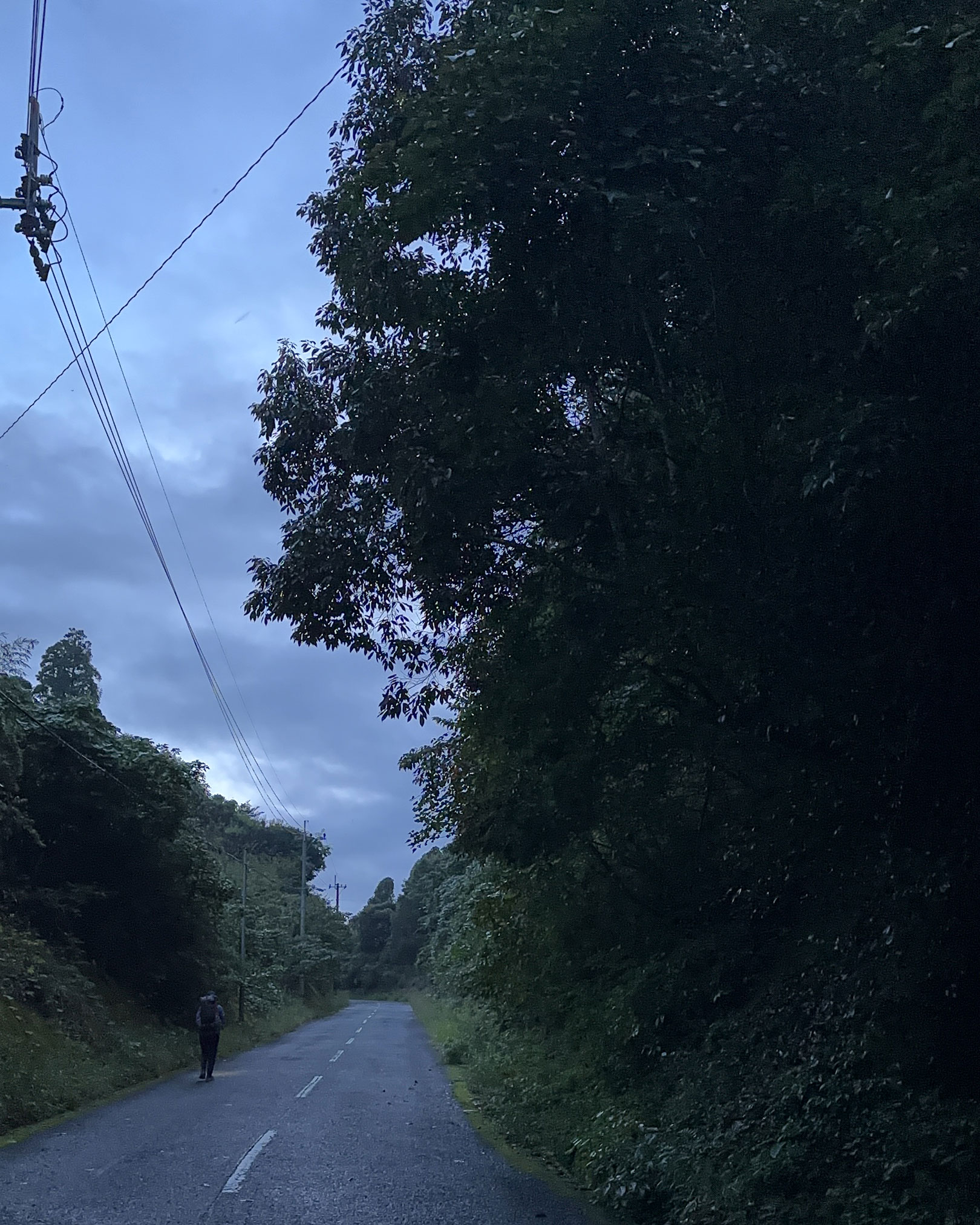 朝の峠道