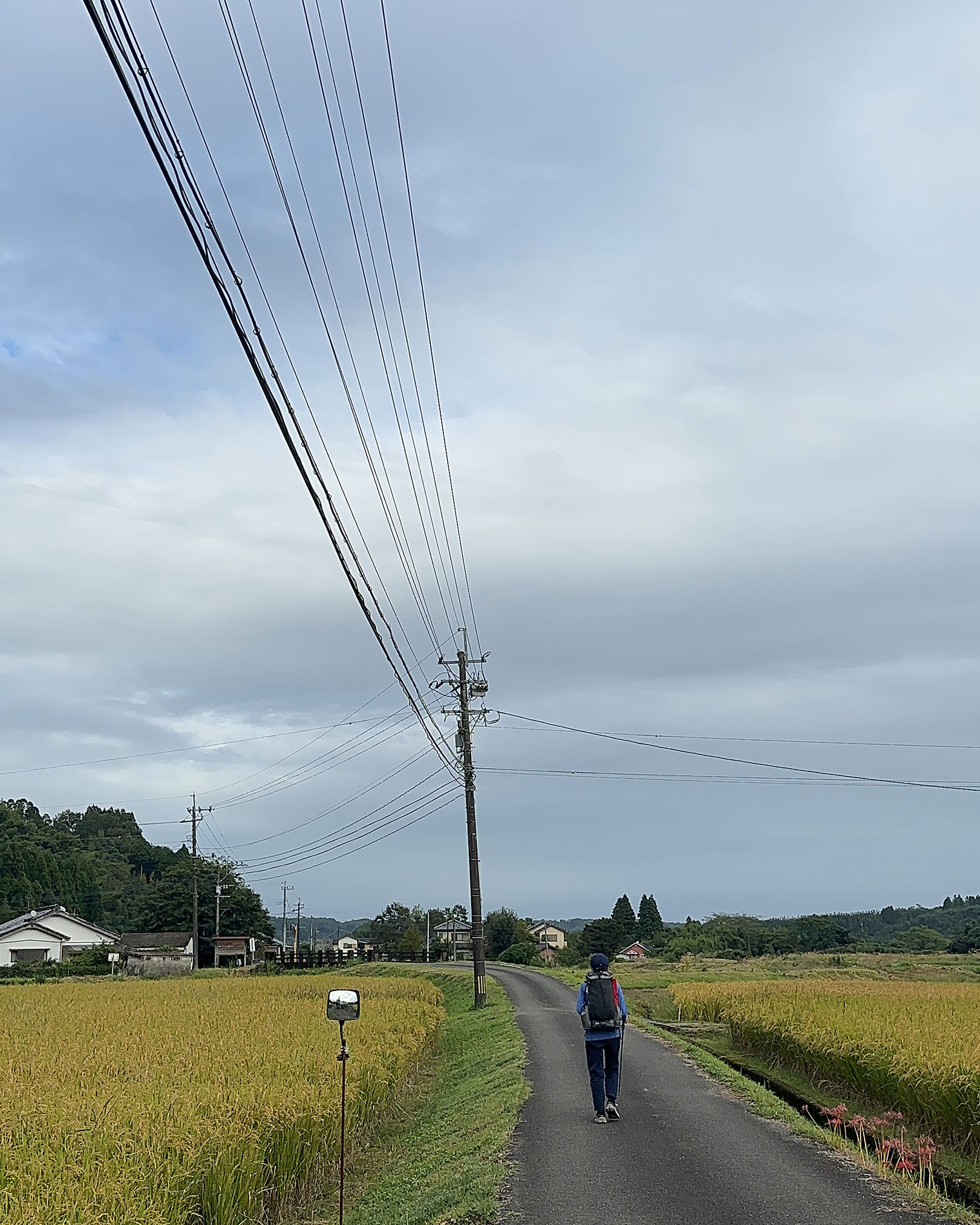 ホッとする麓の道