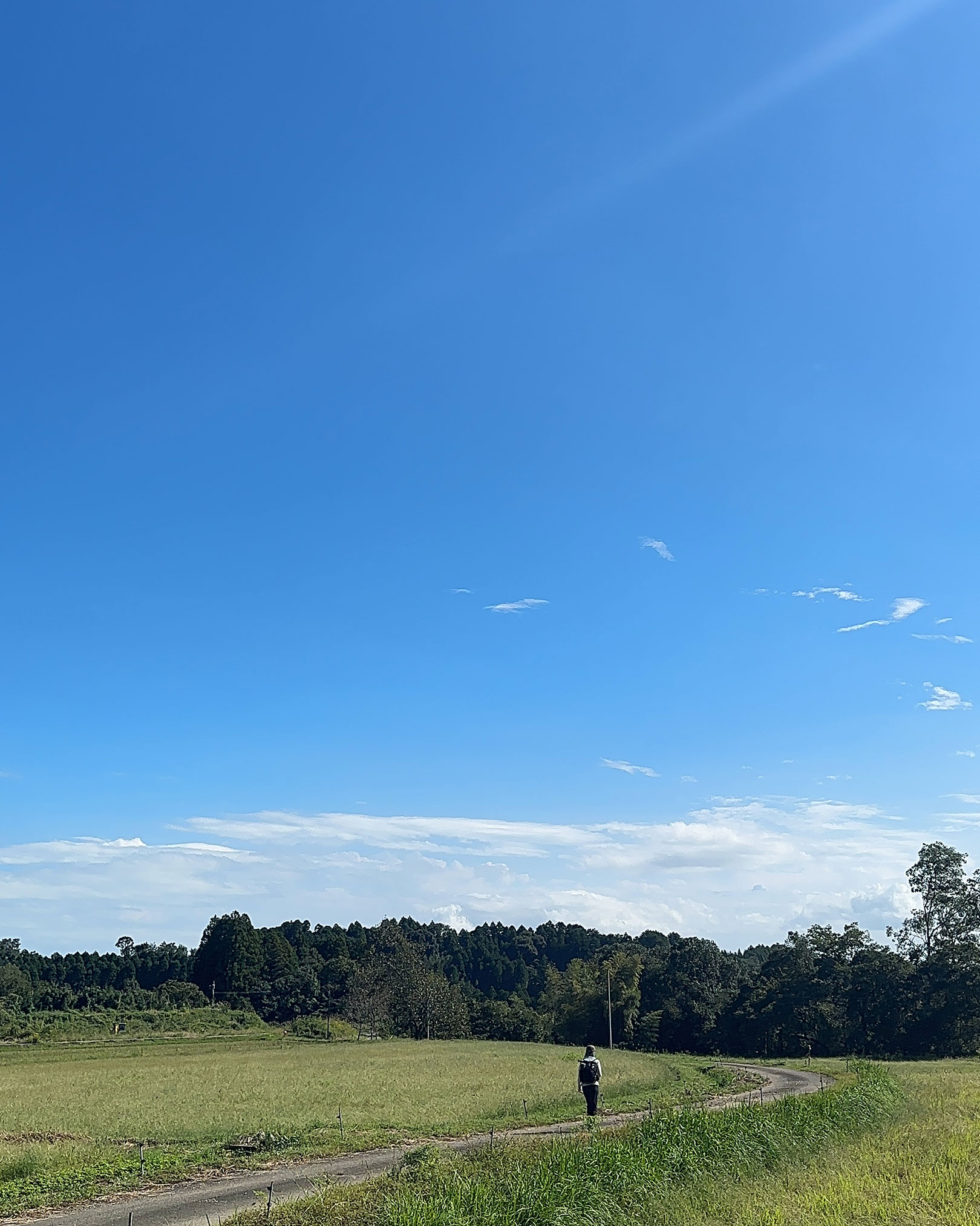 開けた風景