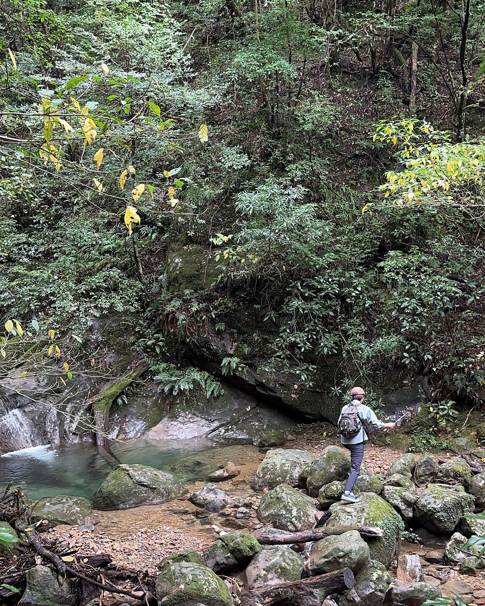 渡渉点