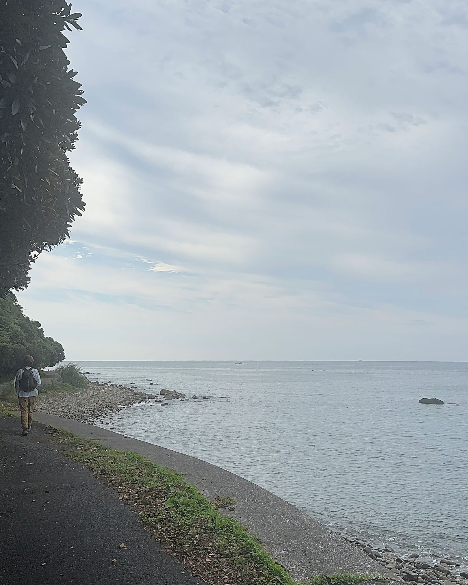 海の真横を歩きつつ