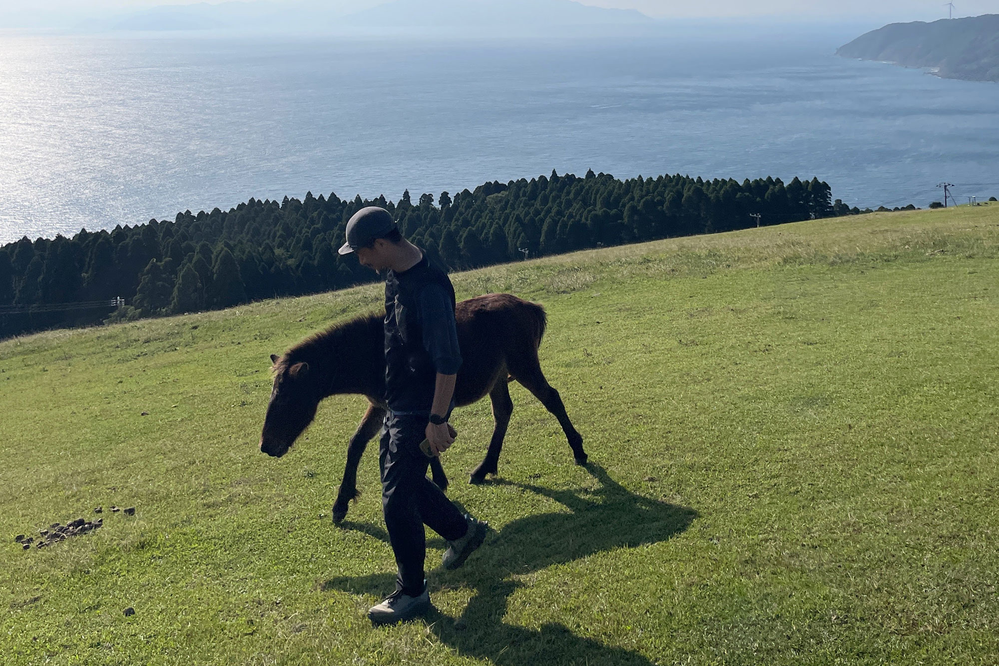 都井岬