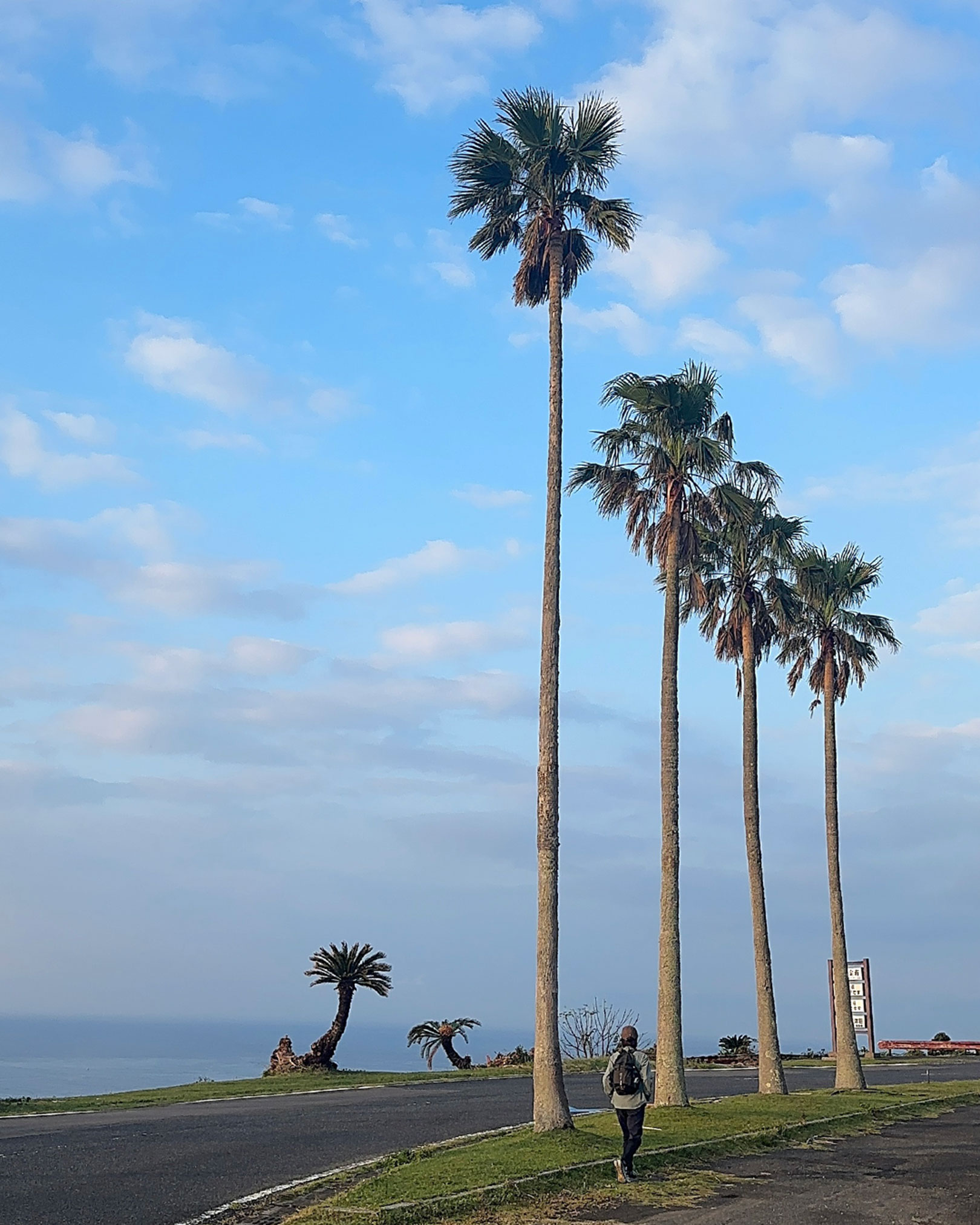 「これぞ宮崎」な風景