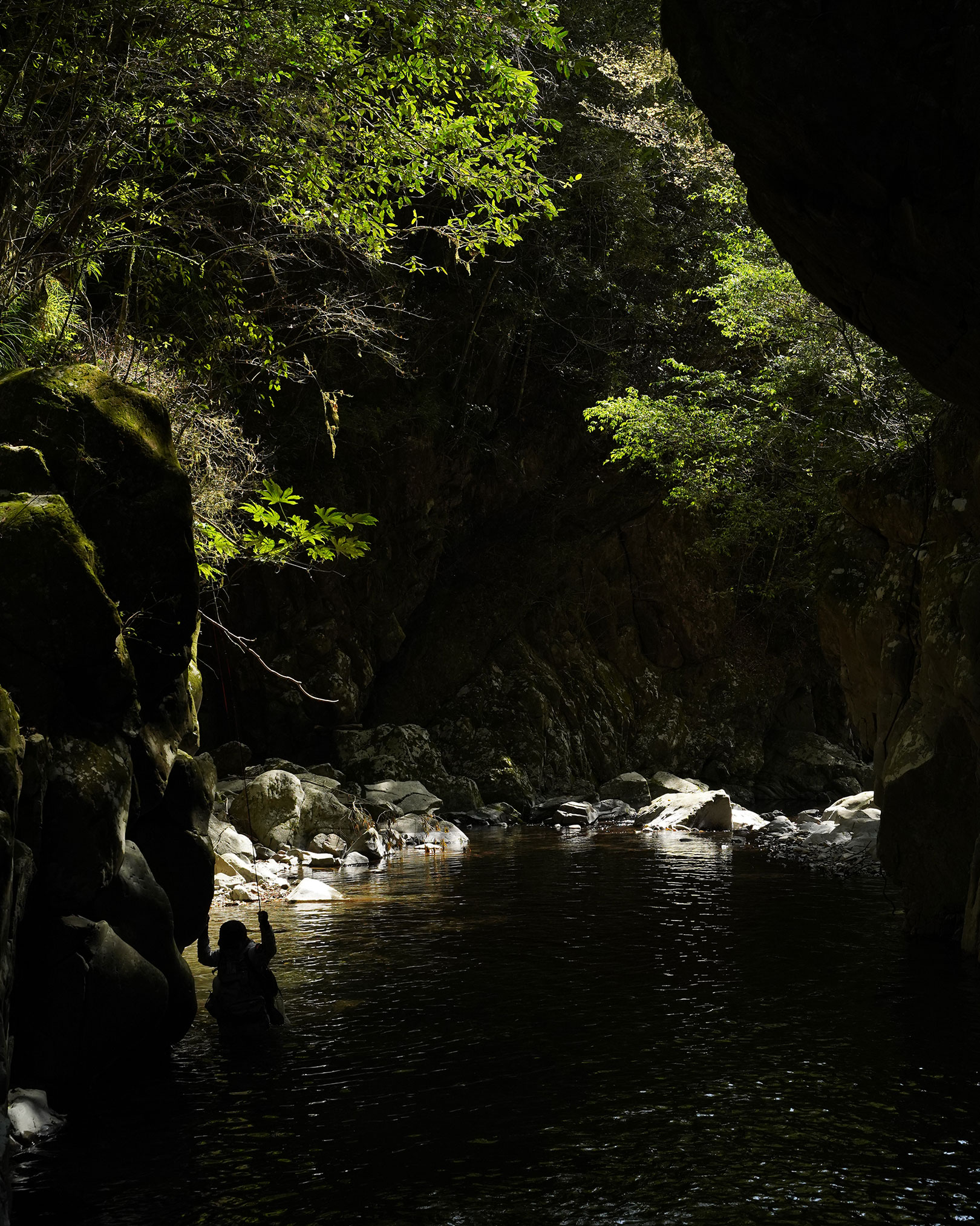 宮崎県西部