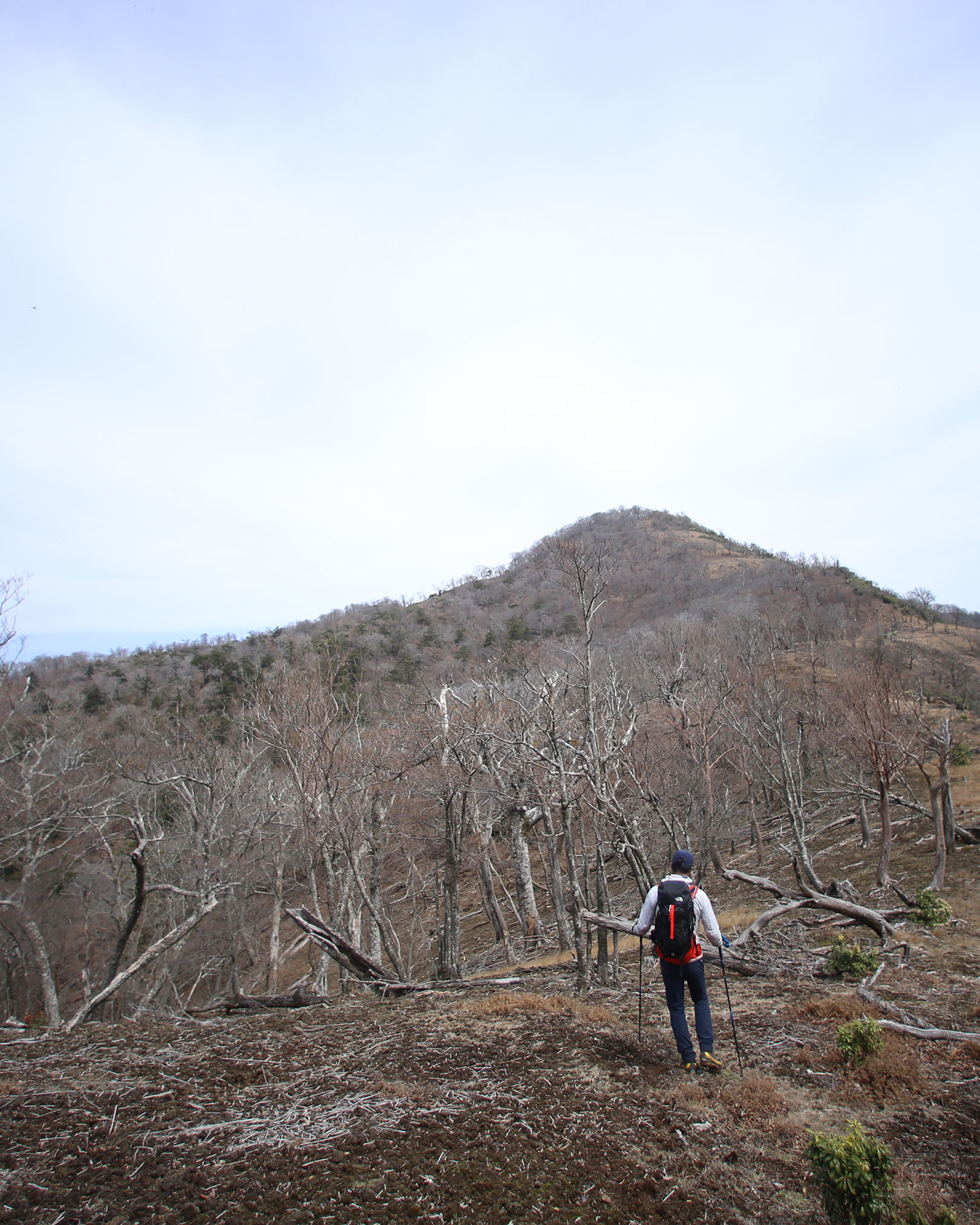 宮崎県北部