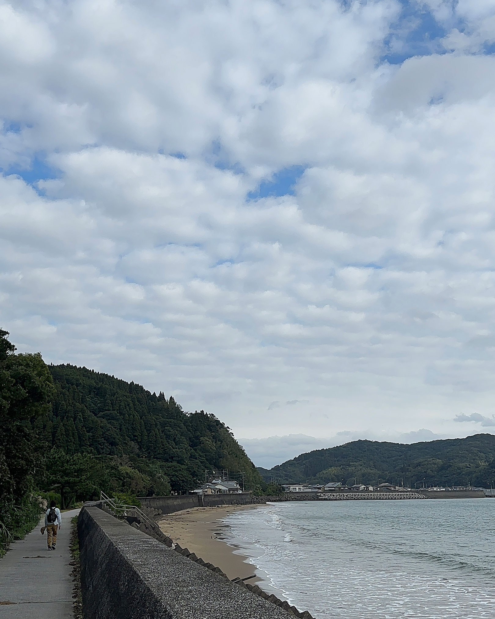 ビーチ沿いの道