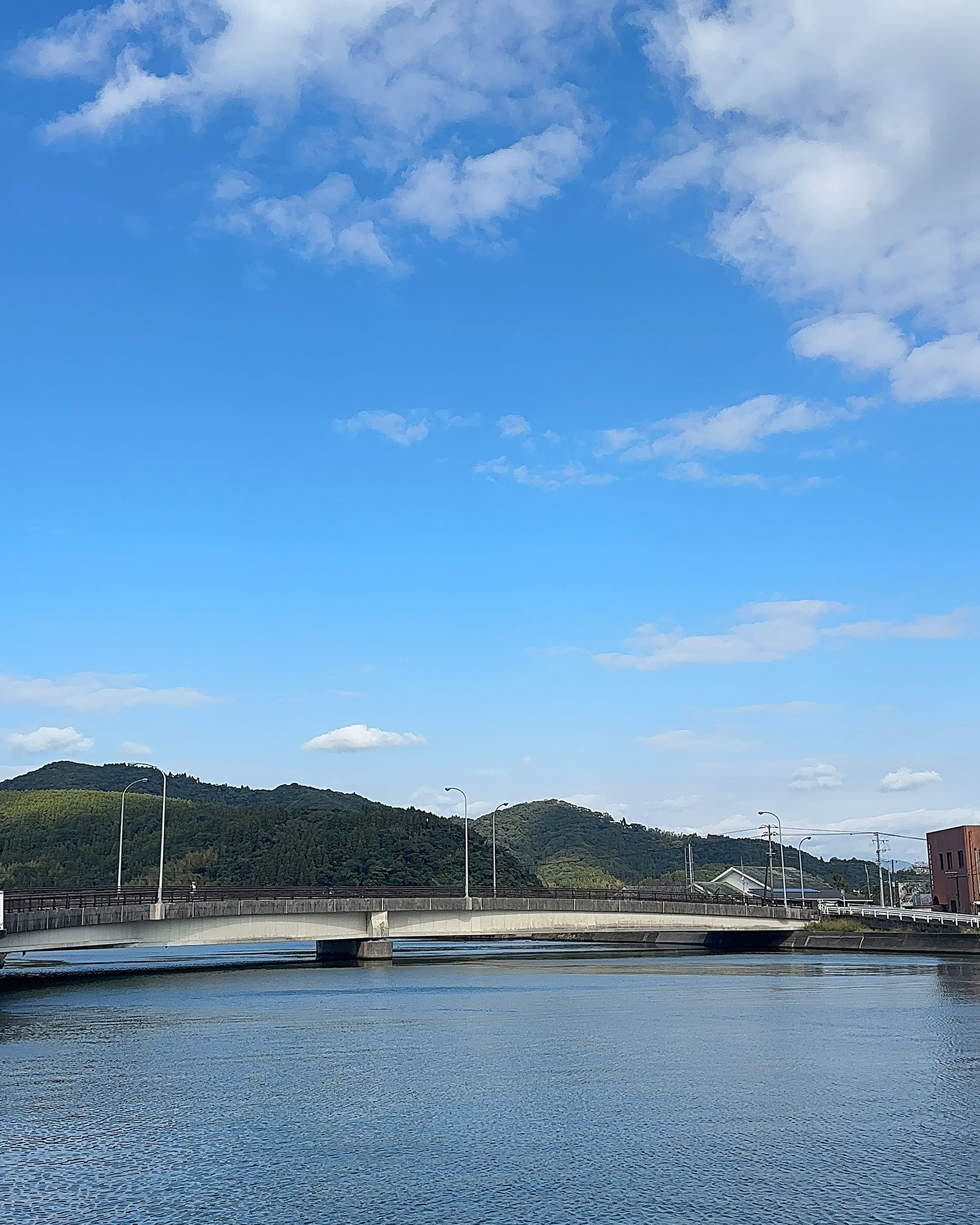 海から汽水域へ