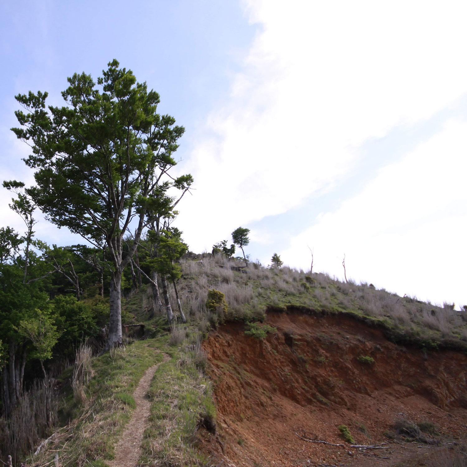 石堂山(2012年)