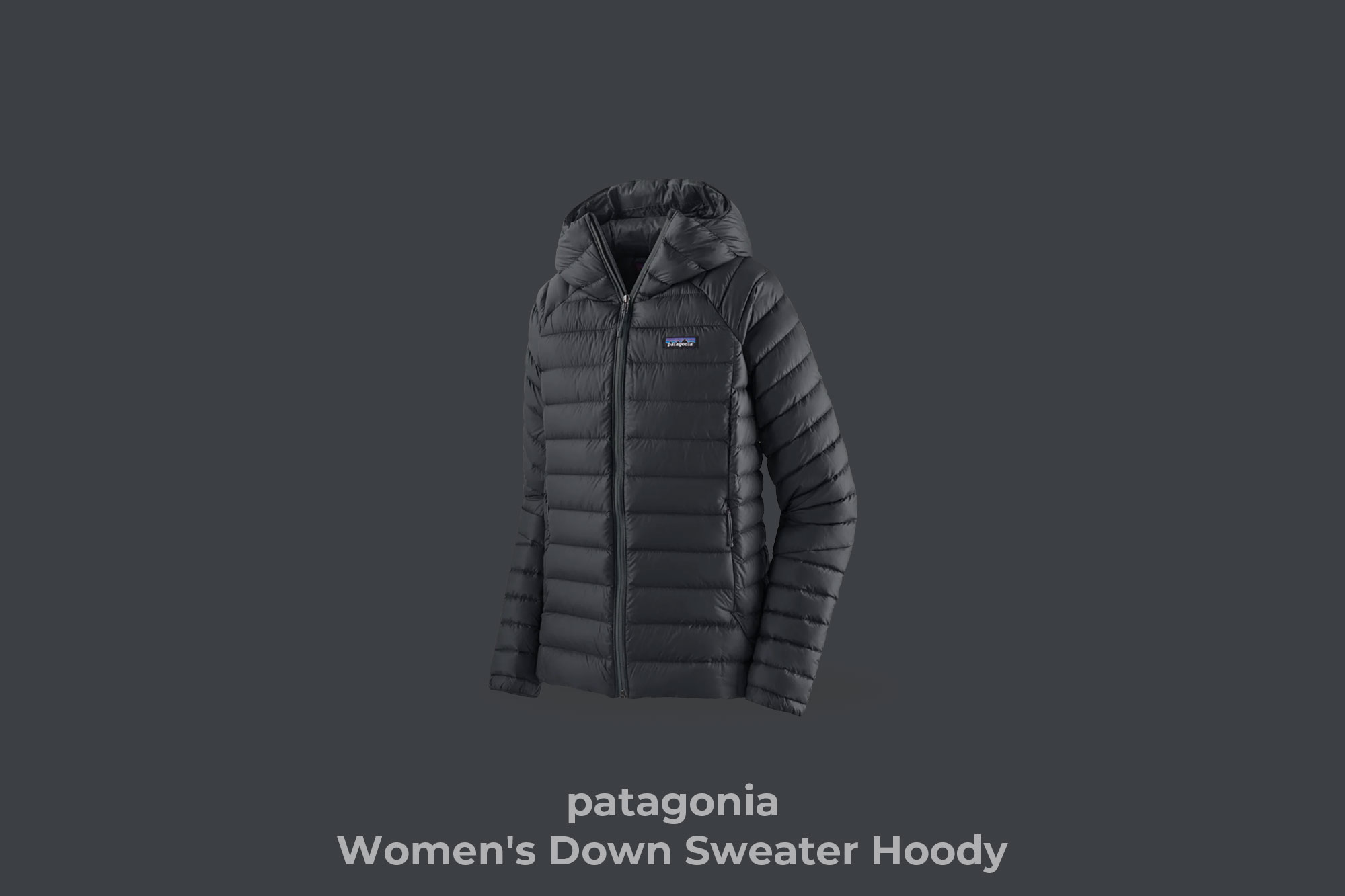 patagonia "Women's Down Sweater Hoody" (Color : BLK)