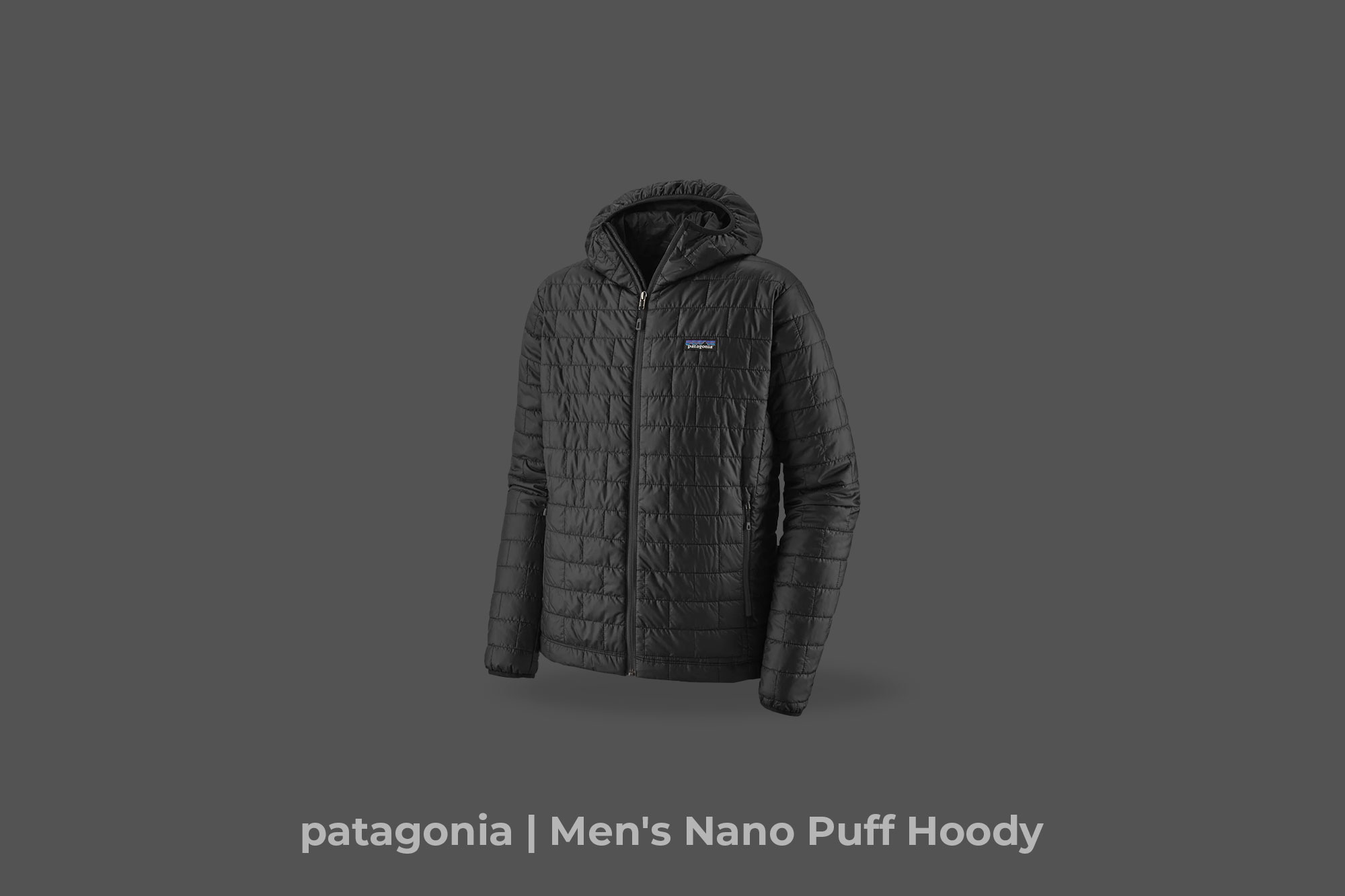 patagonia "Men's Nano Puff Hoody" (color:BLK)