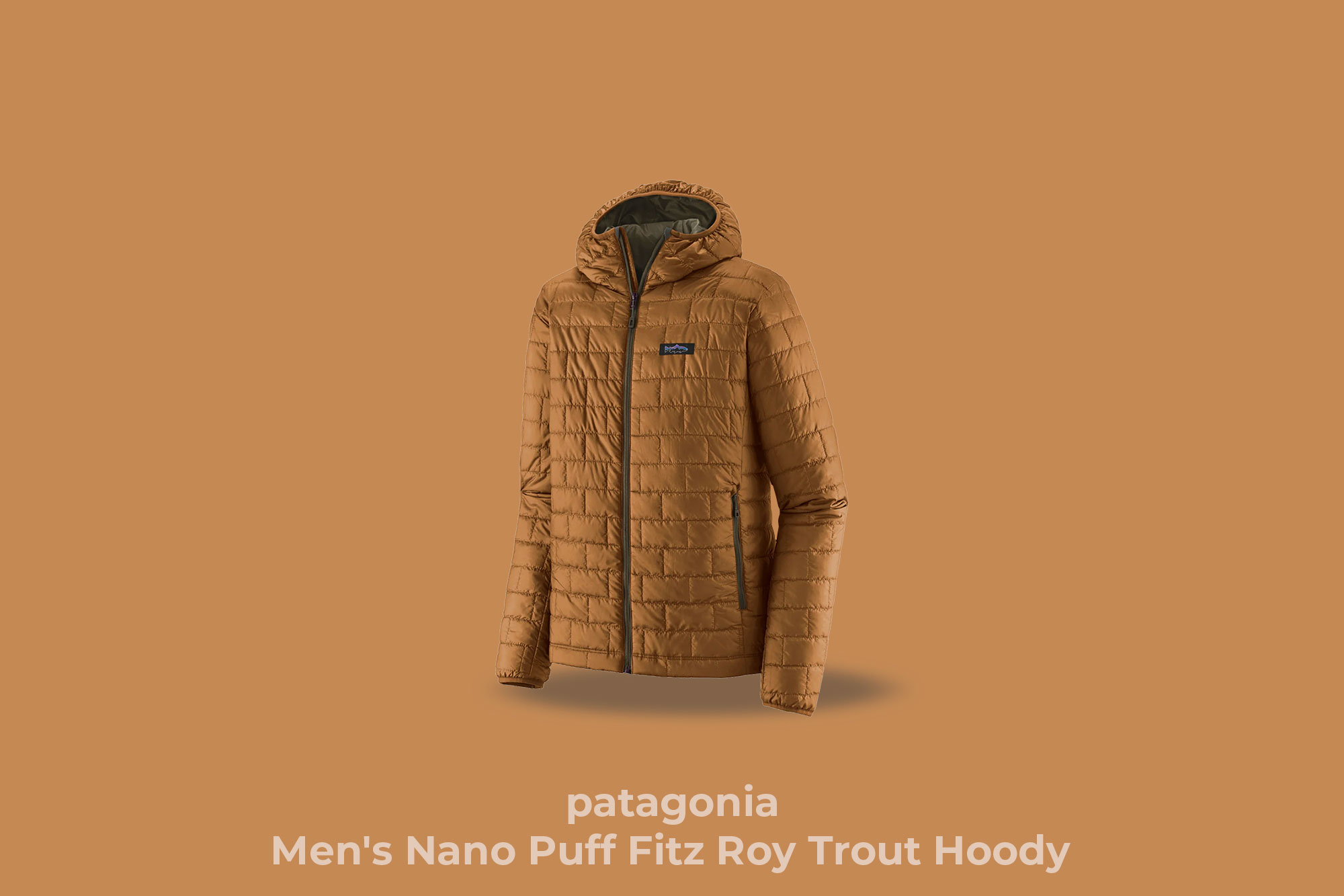 patagonia "Men's Nano Puff Fitz Roy Trout Hoody"(color:SHBN)