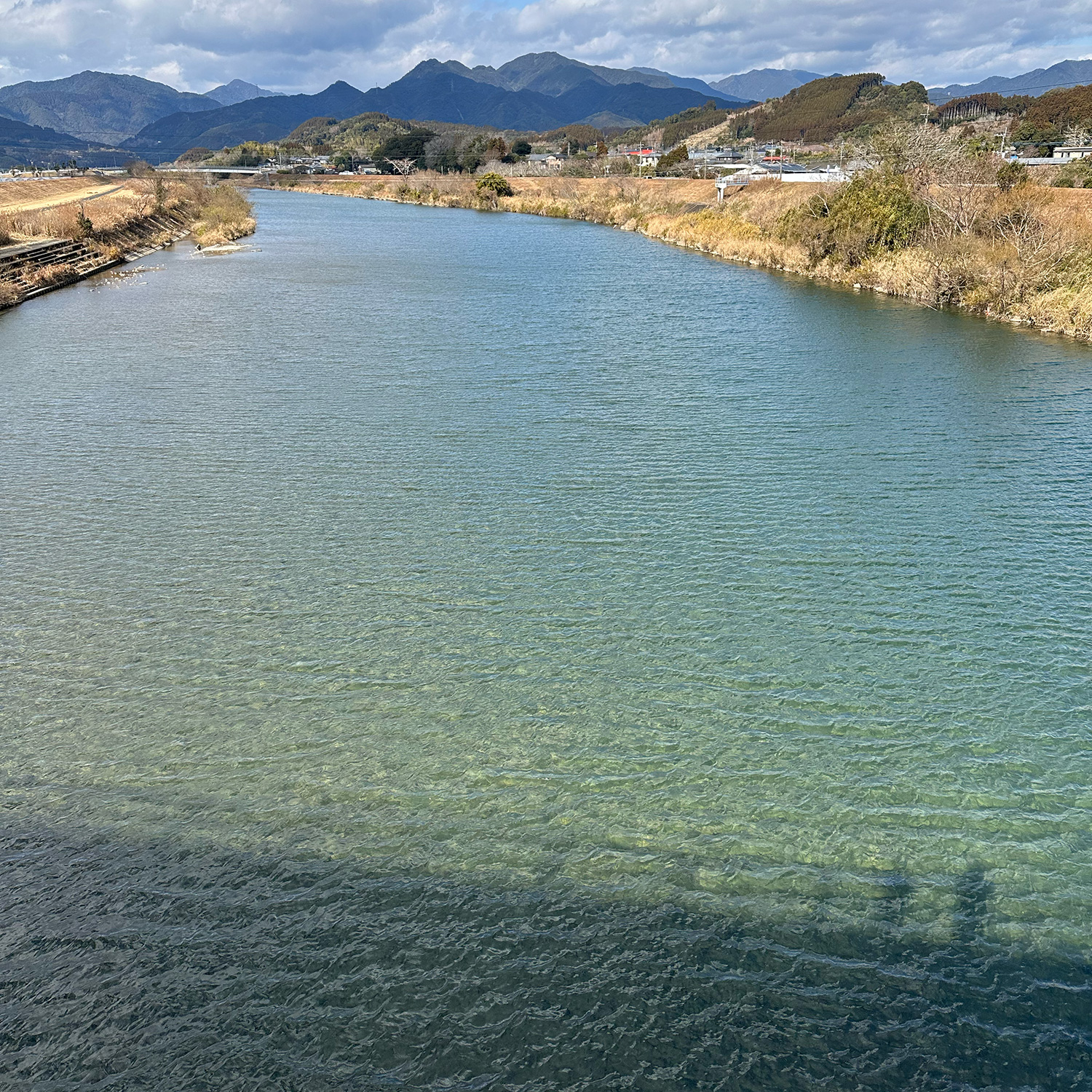 水の透明度もバッチリ