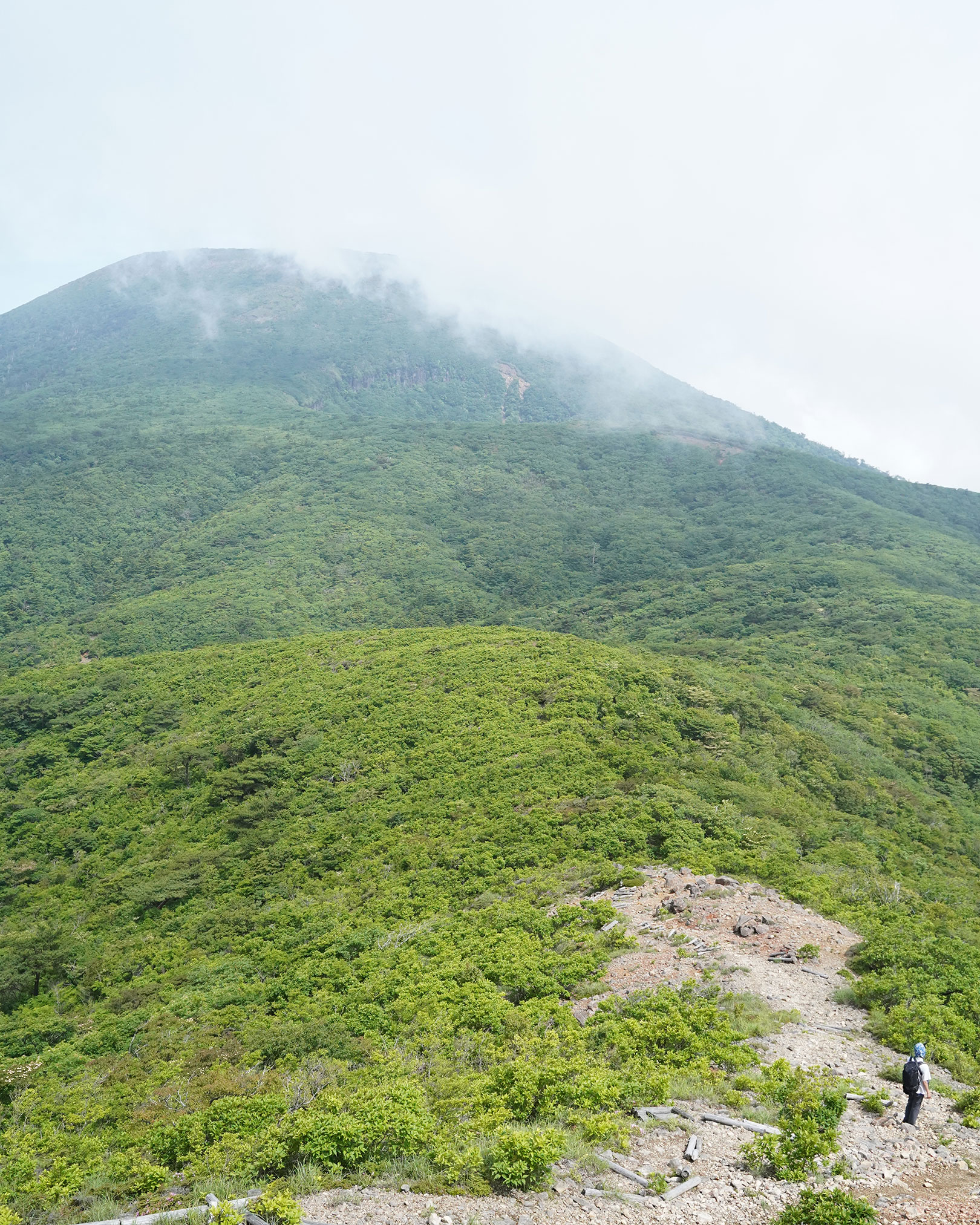 Hiking