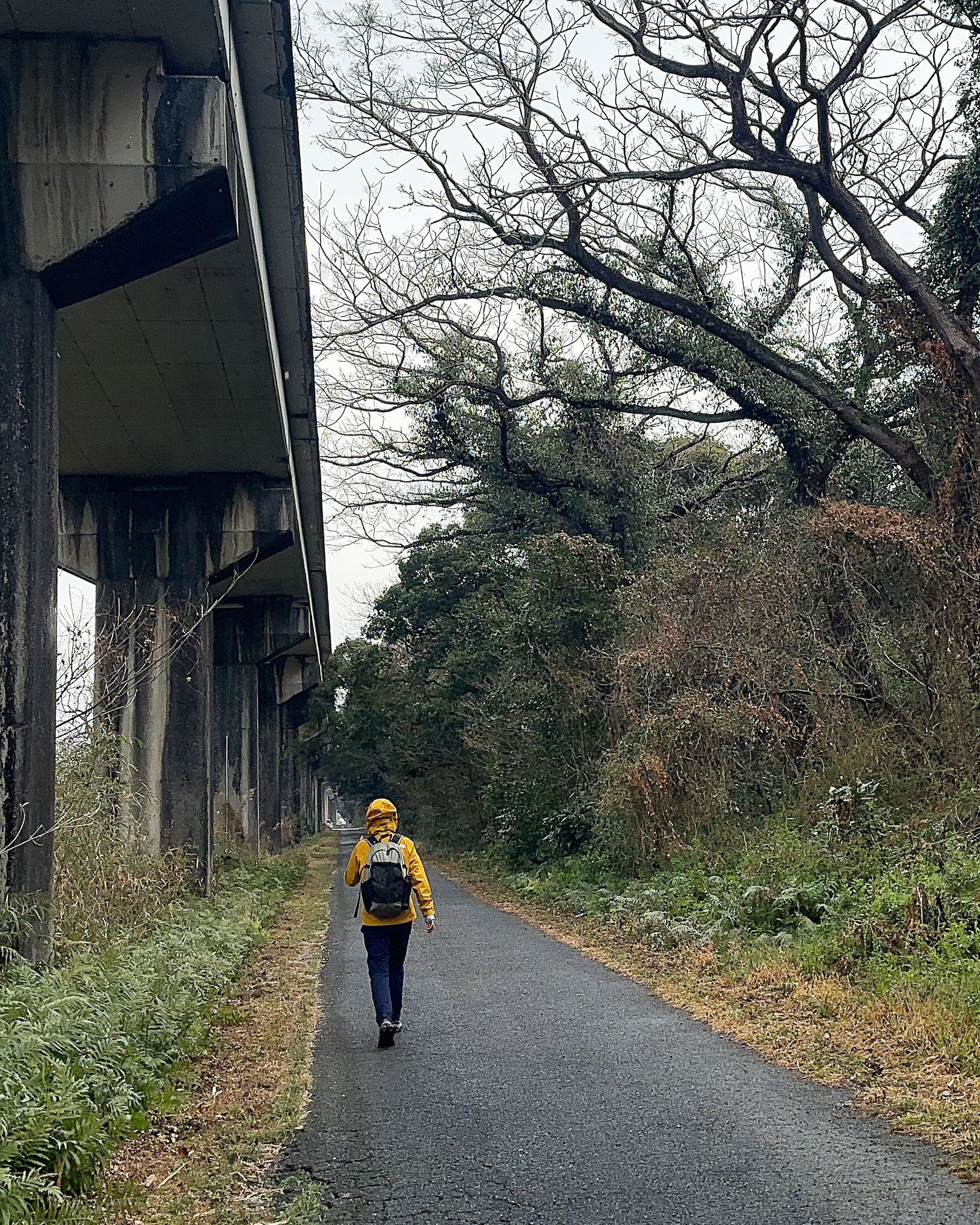 リニアモーターカー実験線跡