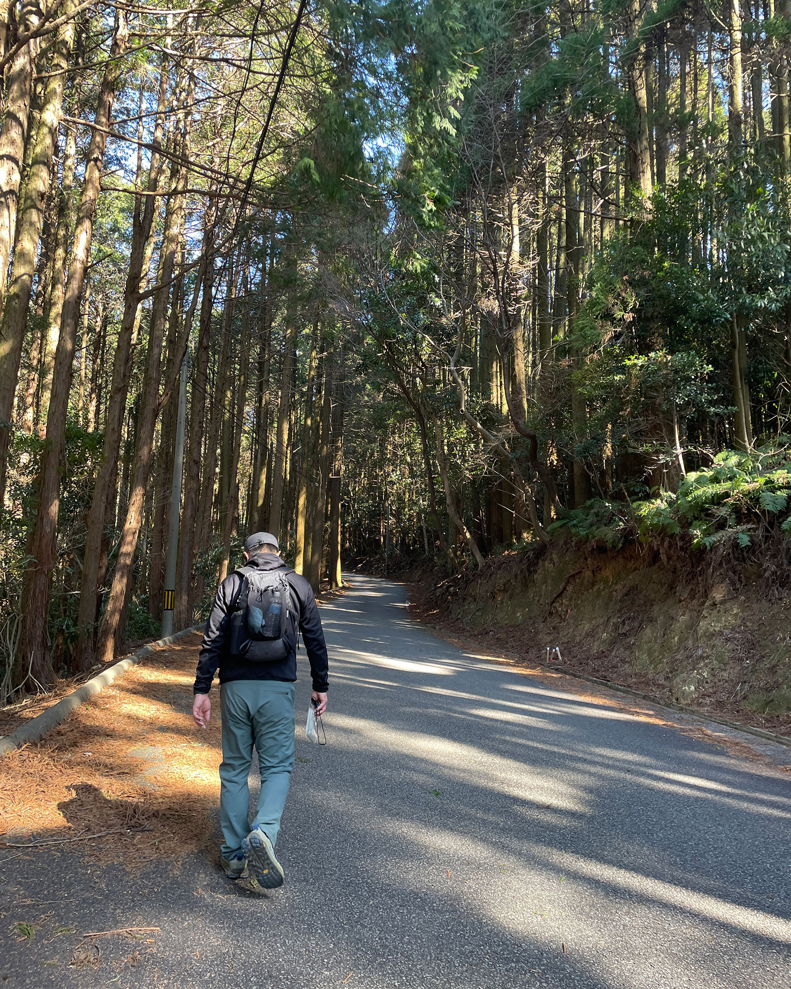 遠見山へ