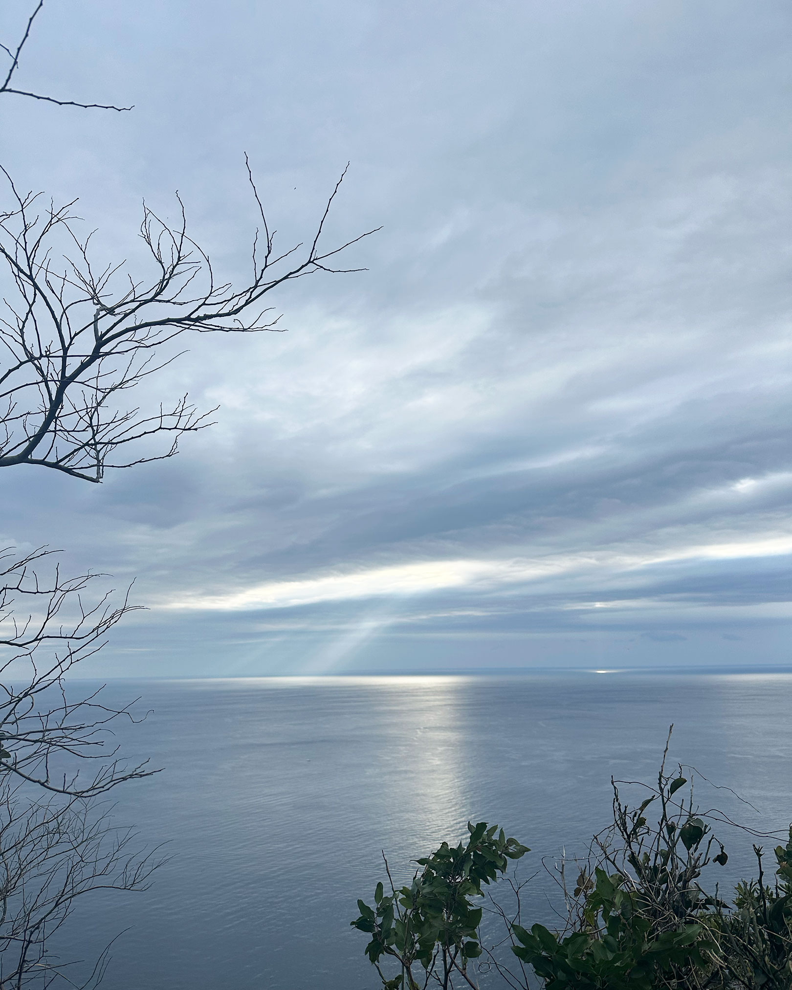 美しい海の景色