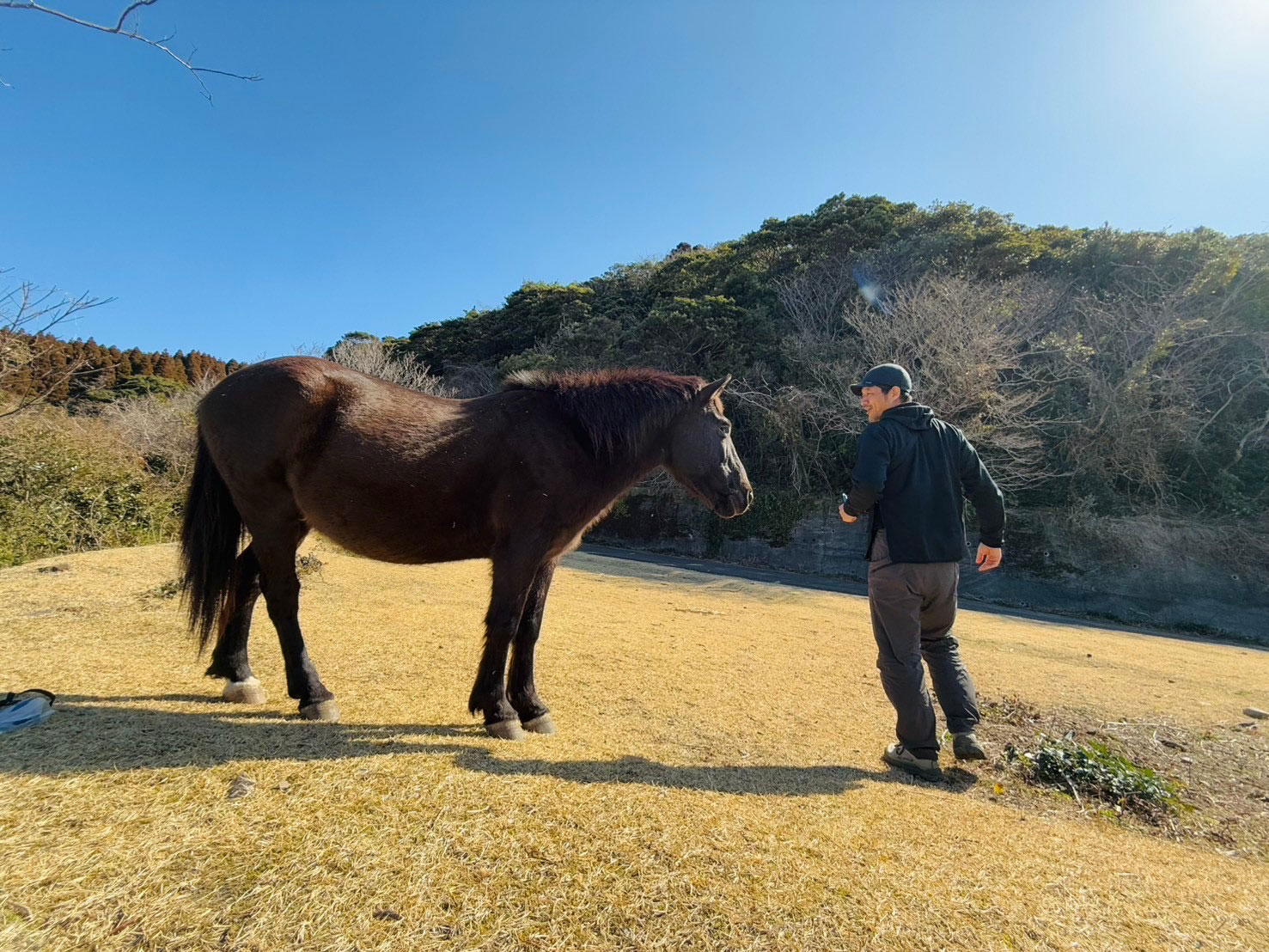 ついてくる馬と、それをかわす店主