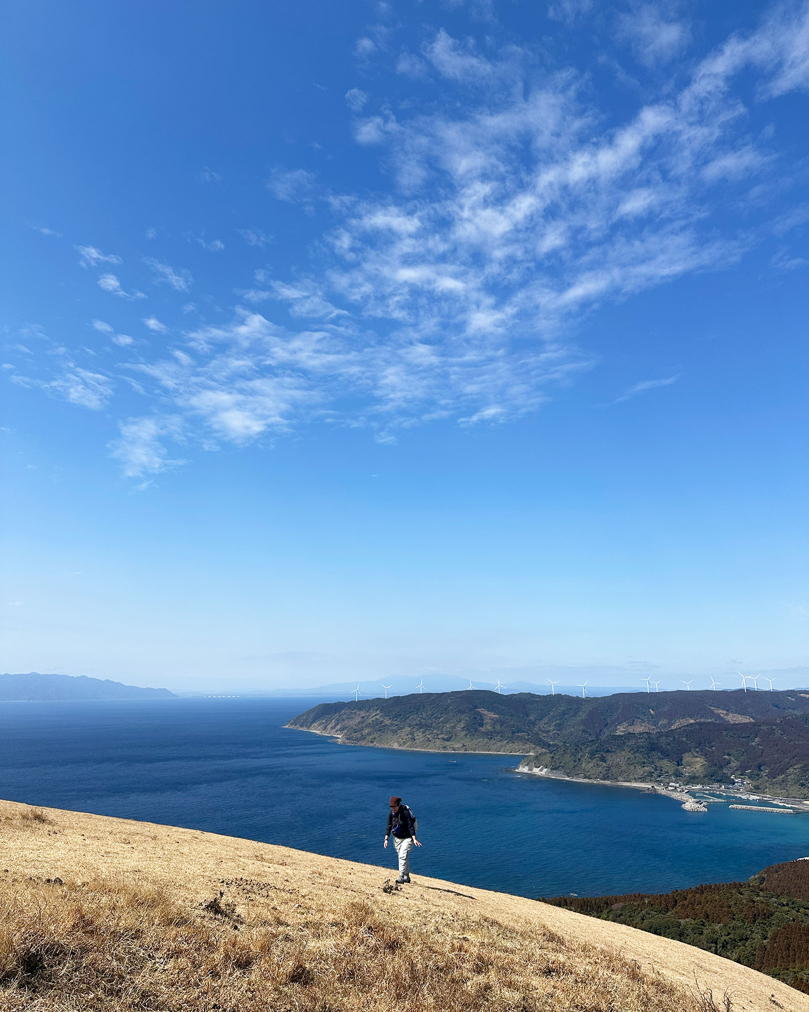 締めに都井岬らしい絶景