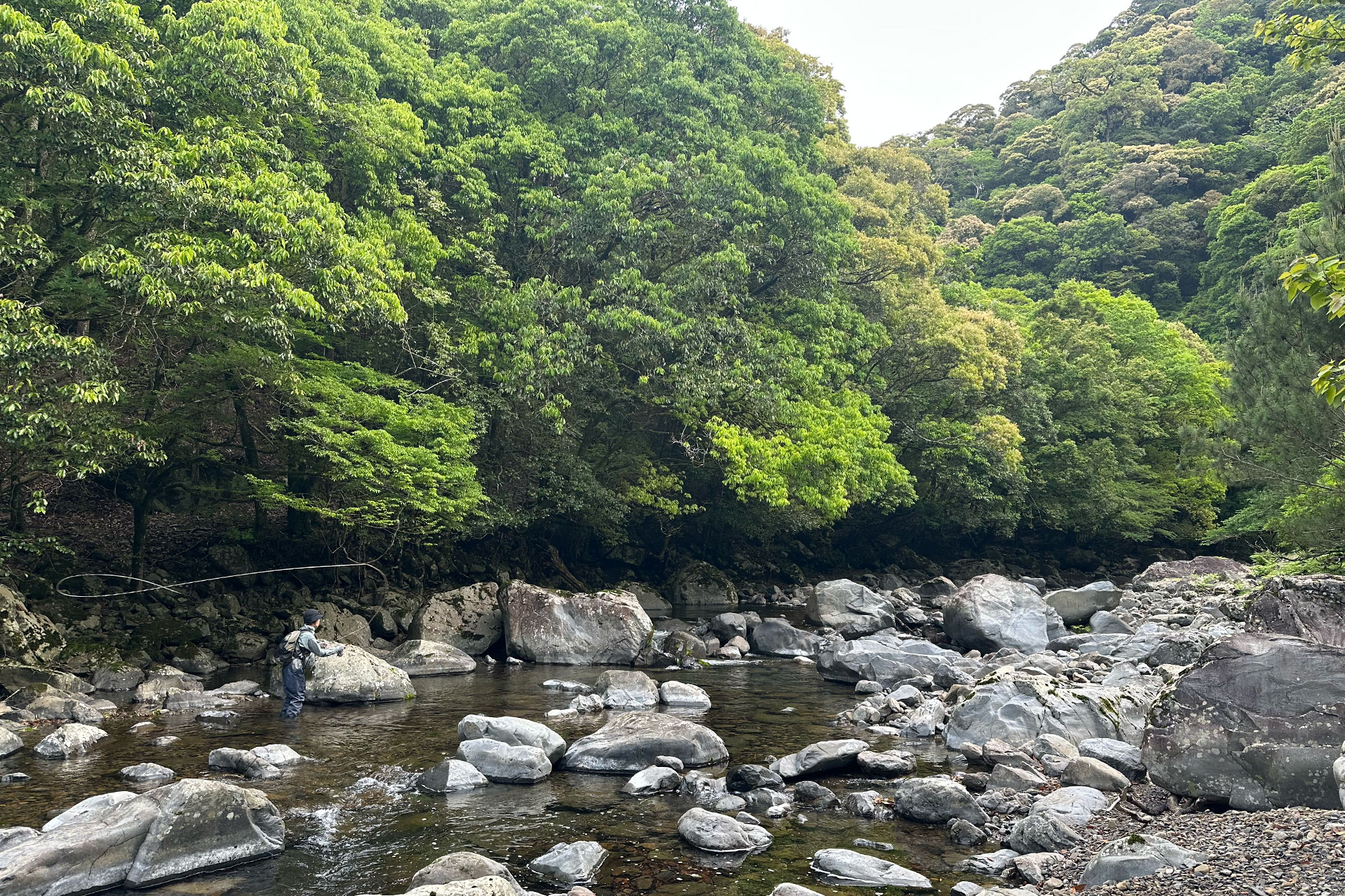 少しずつ夏の色へ