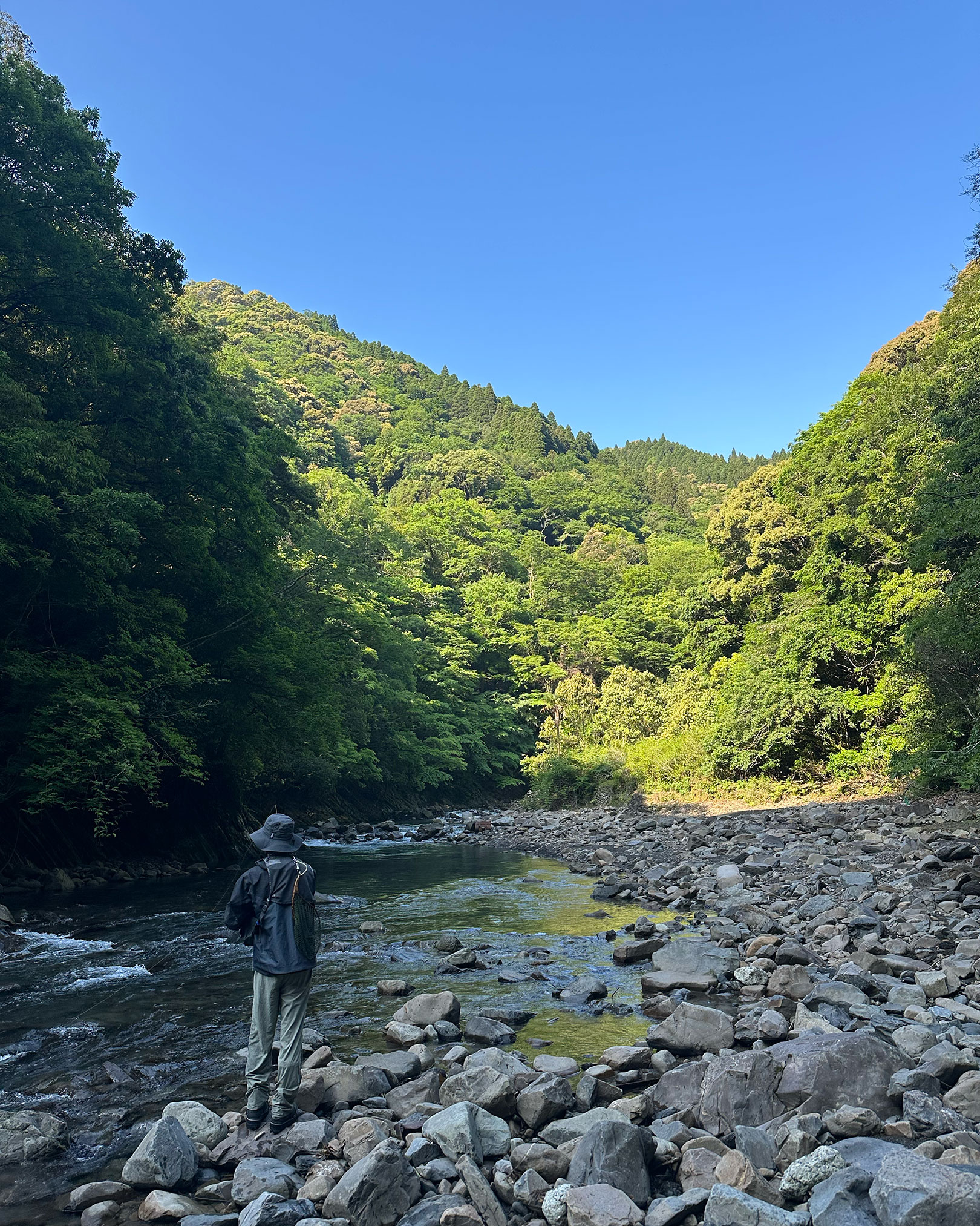 とりあえず晴れて何より