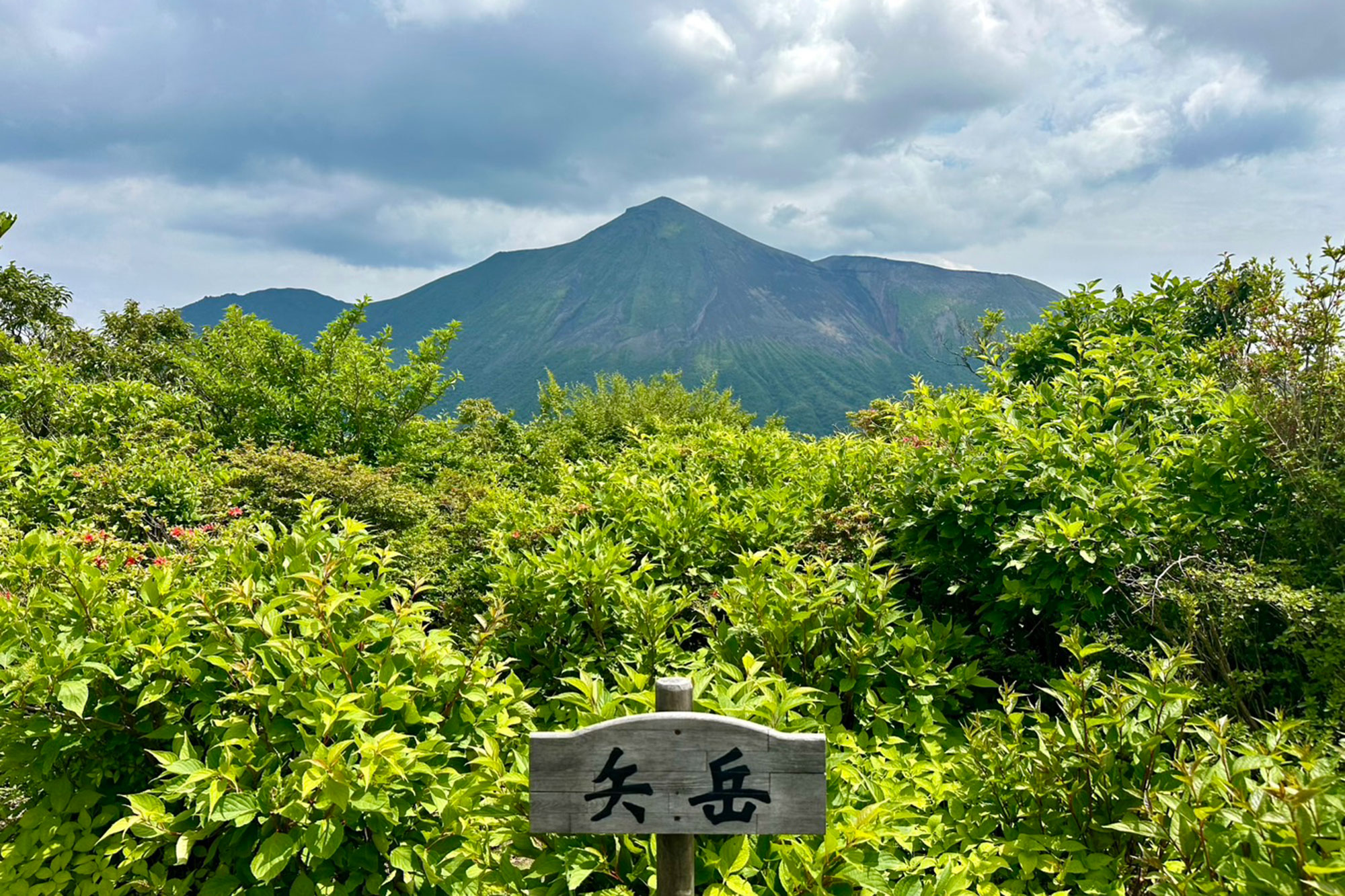 矢岳から眺める高千穂峰