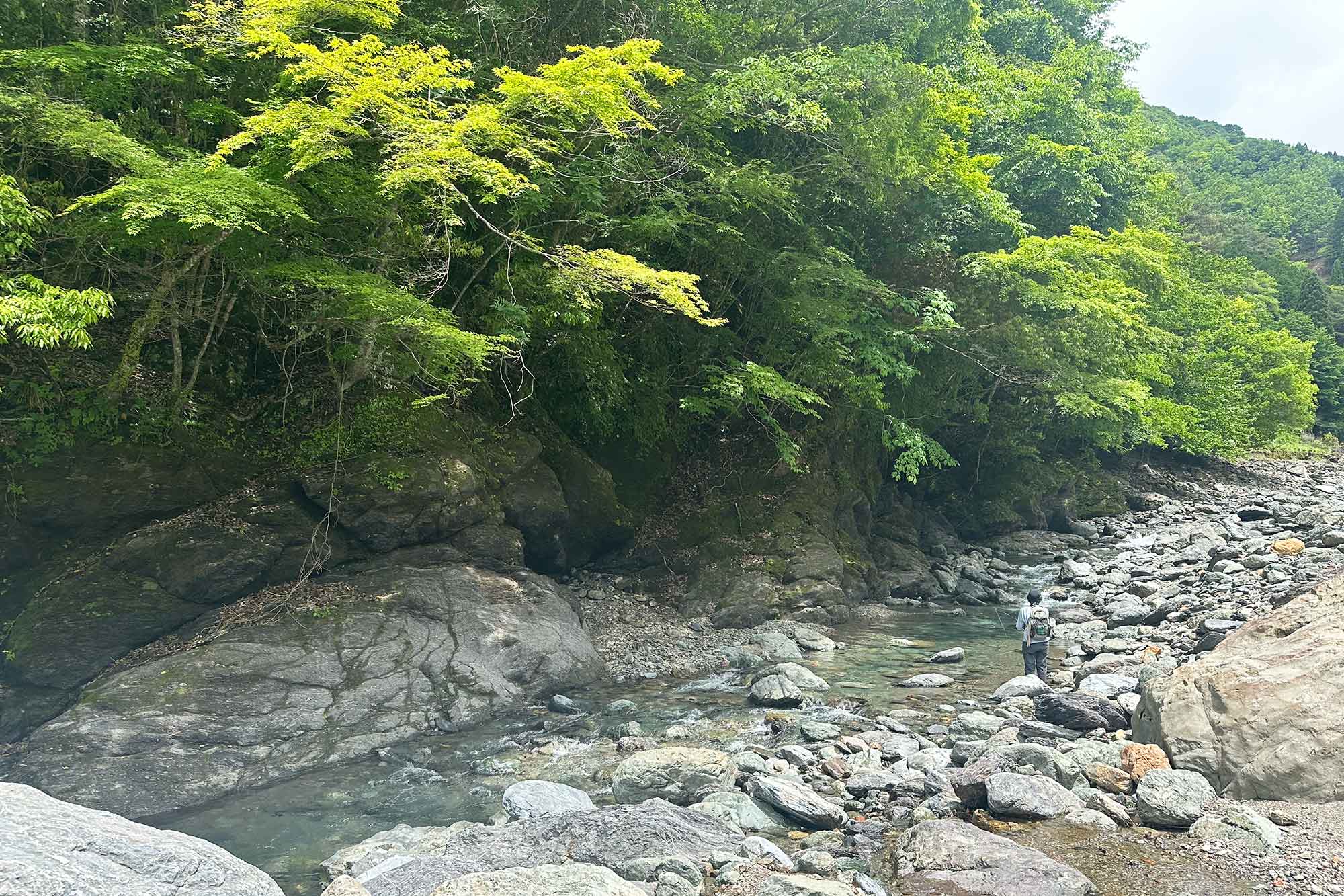 徐々に夏の色へ