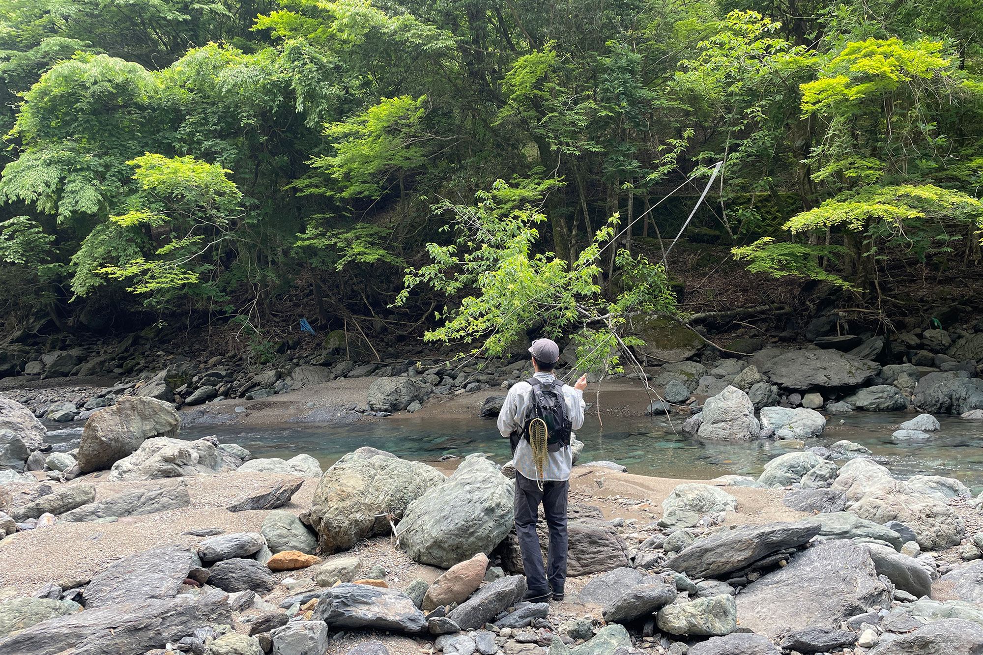 釣り上がり