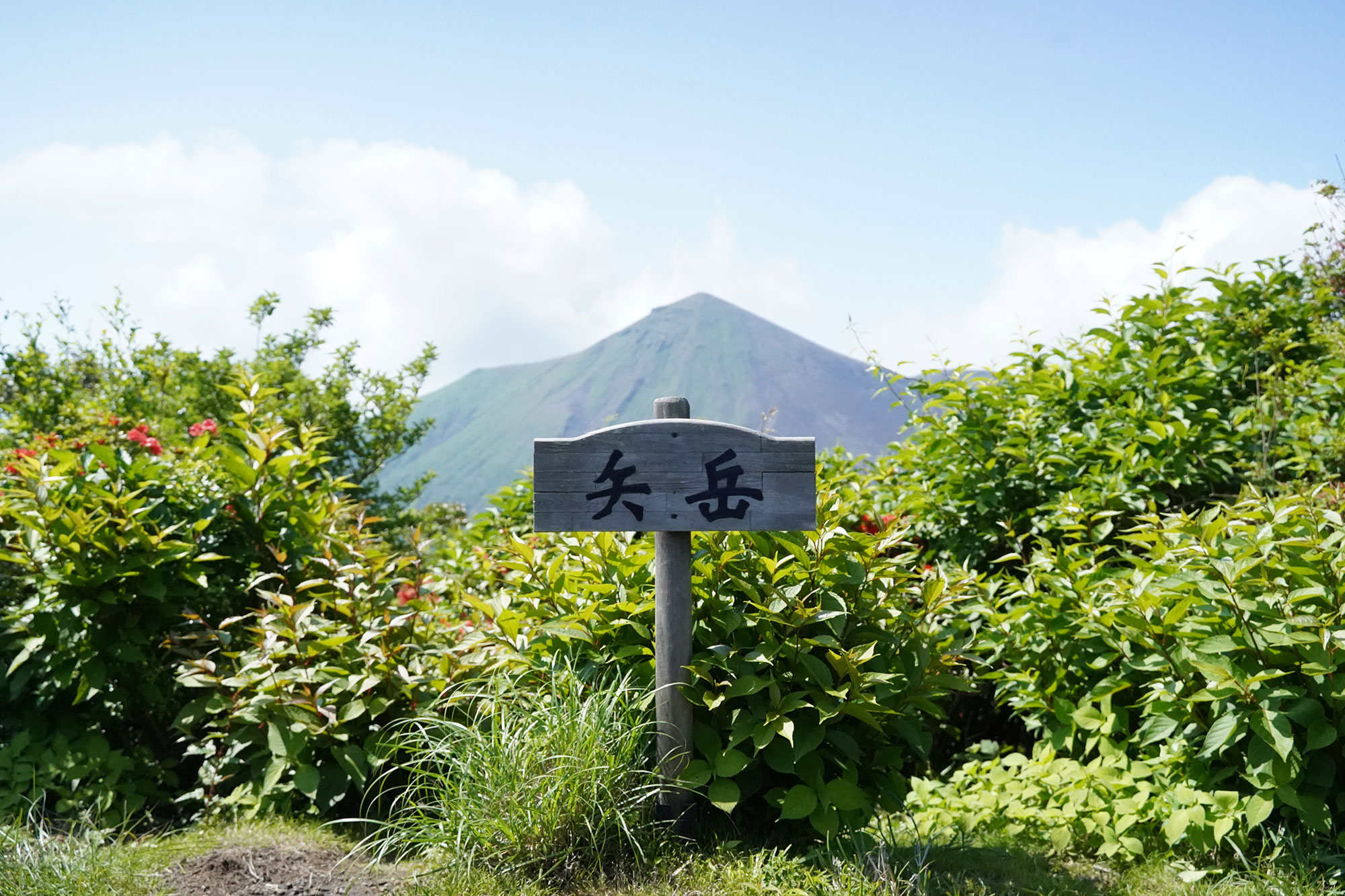 矢岳山頂から眺める高千穂峰